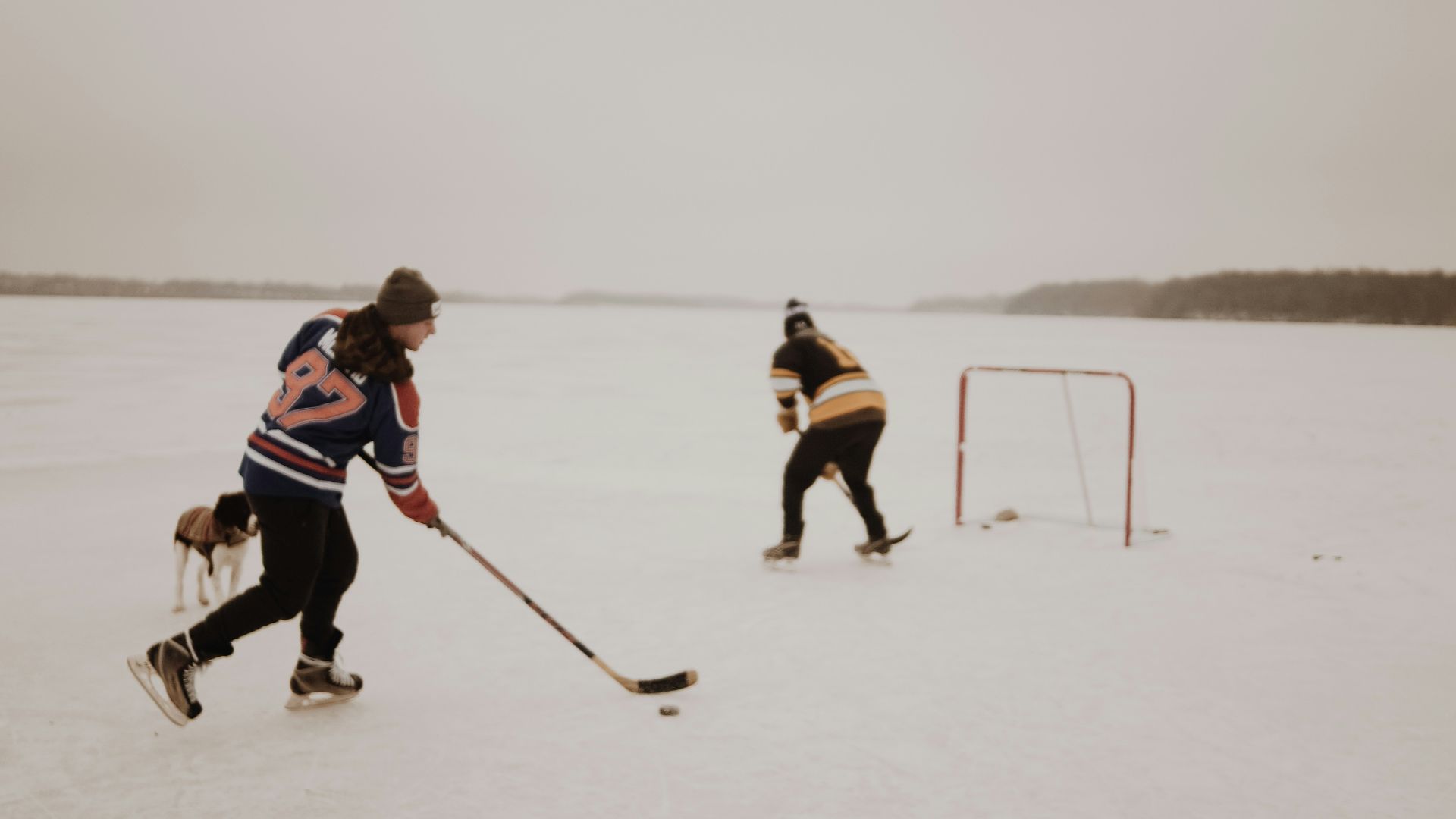 people playing ice hockey