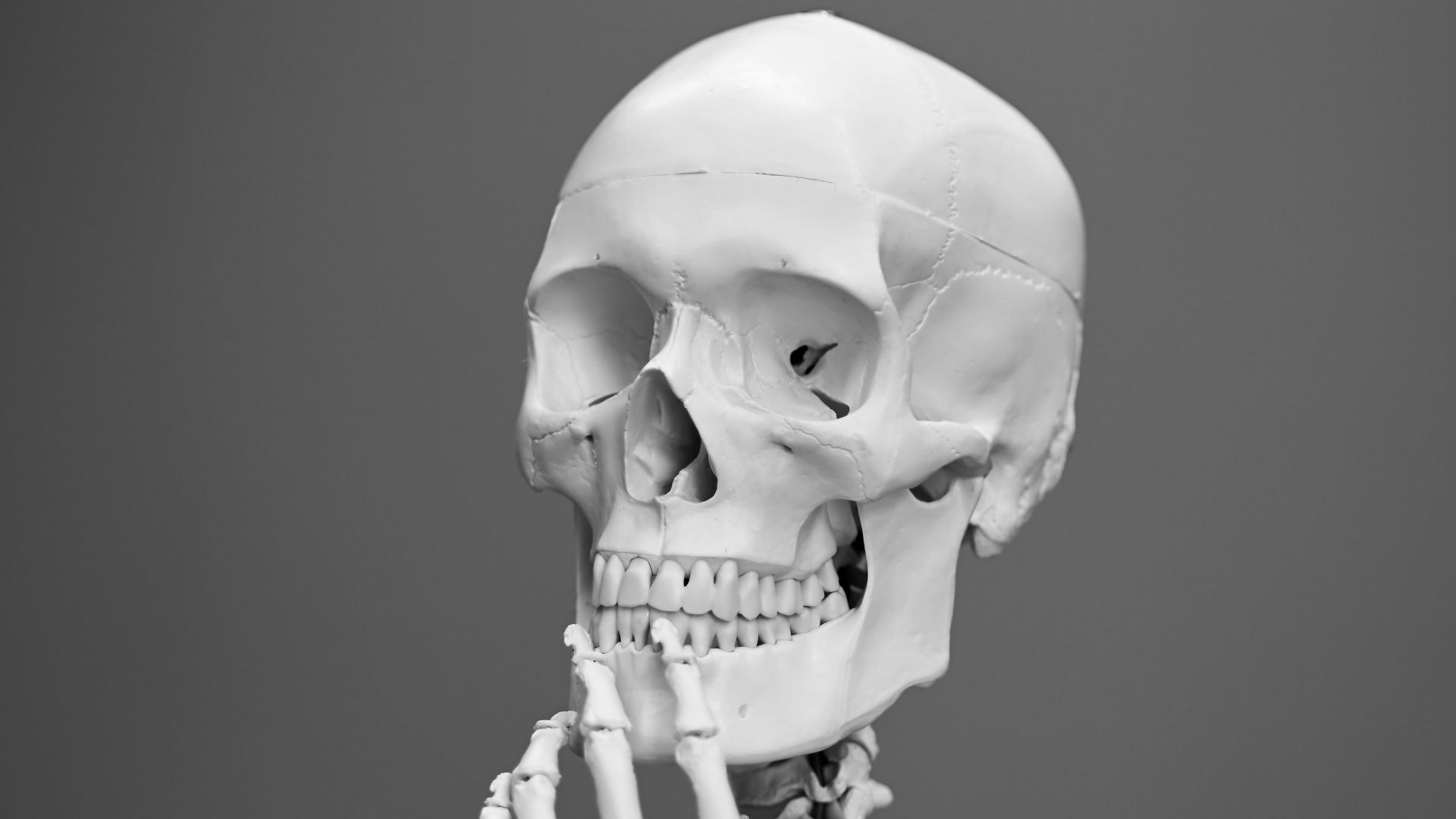 greyscale photography of skeleton