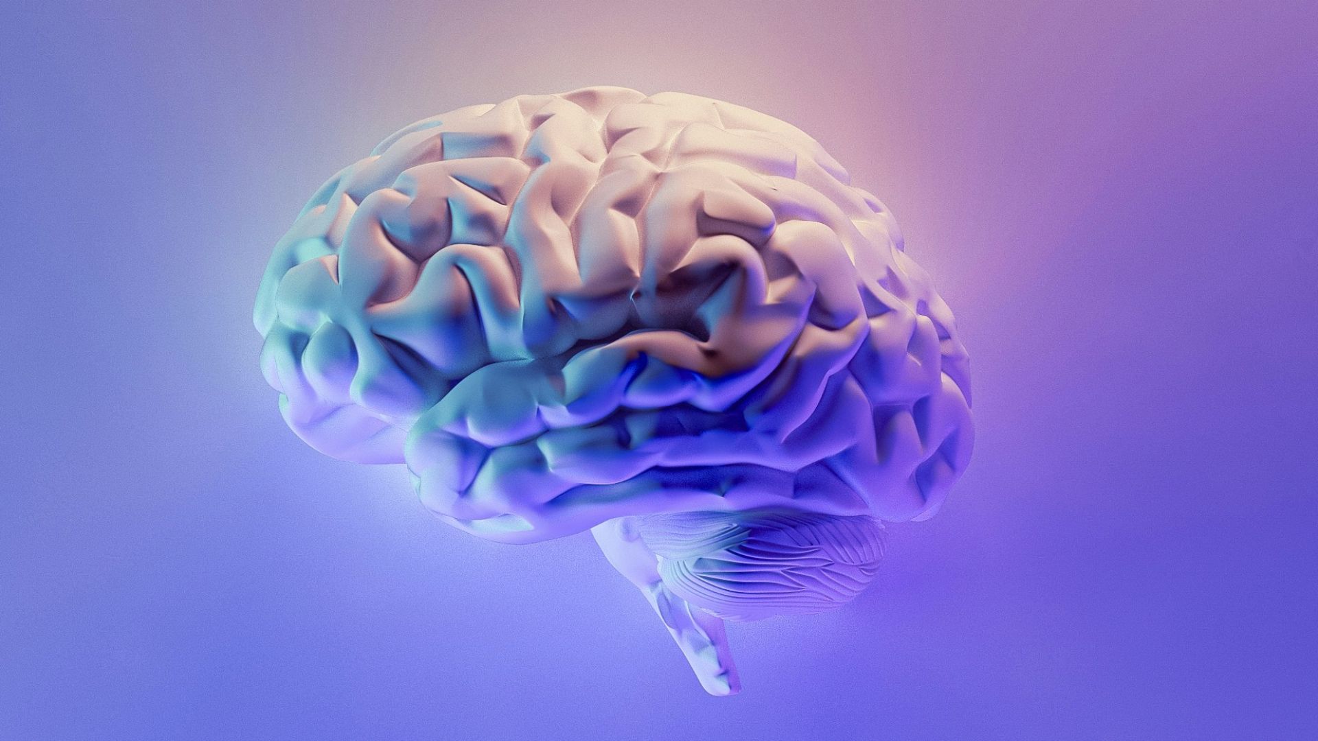 blue and green peacock feather