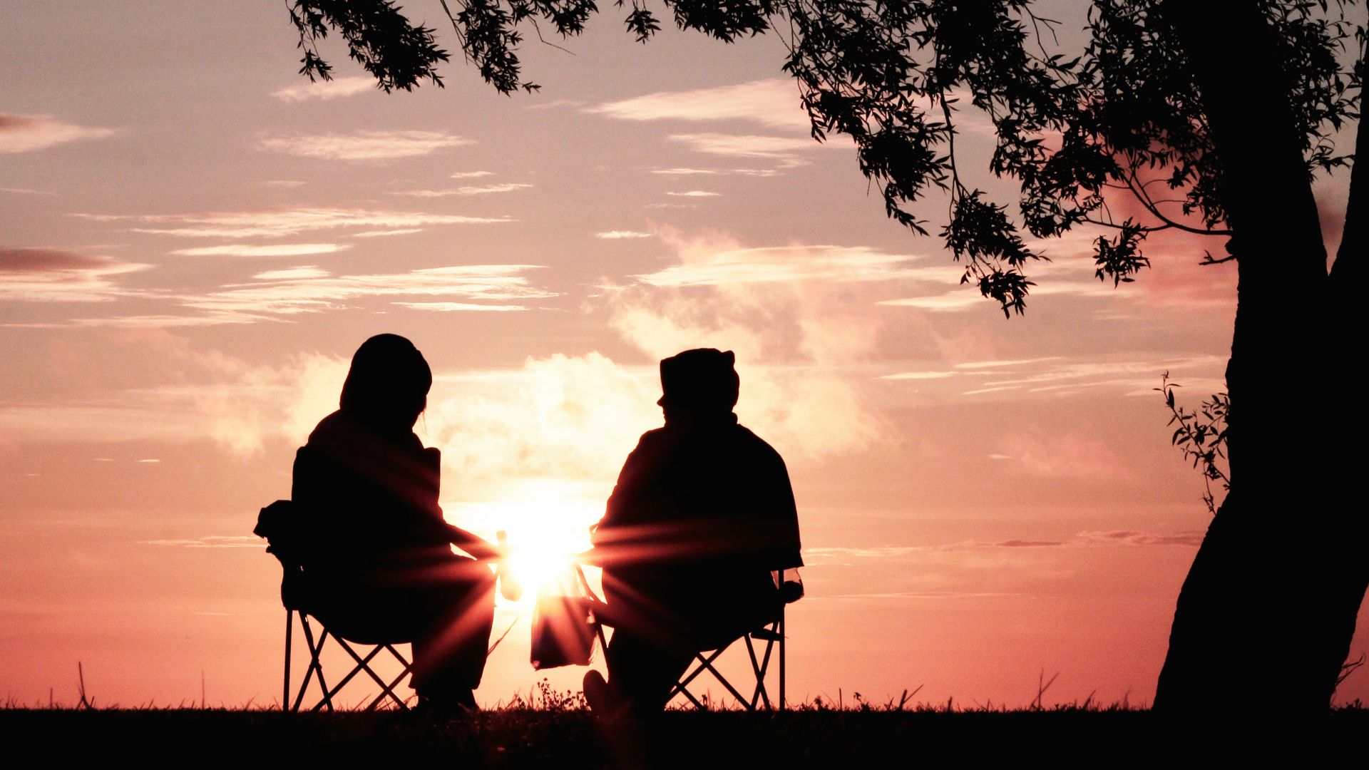 silhouette of two person sitting on chair near tree