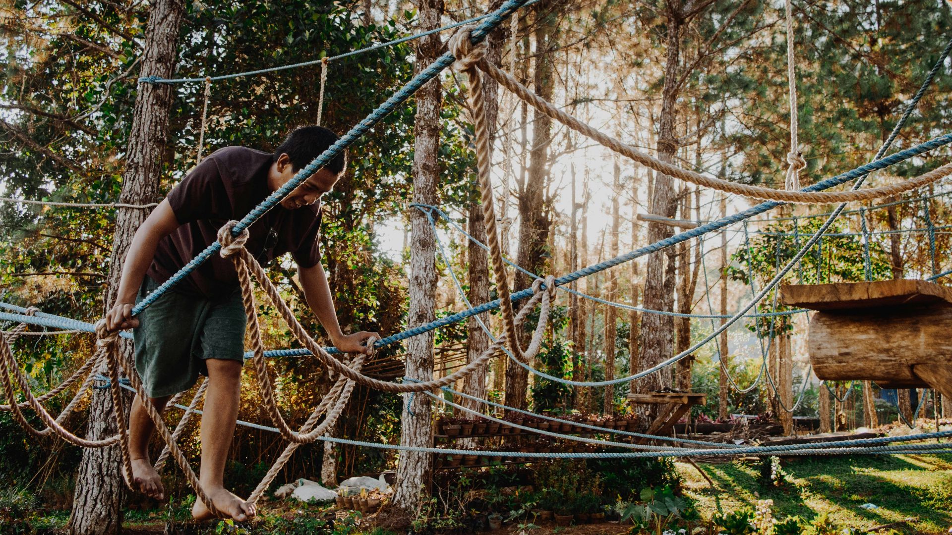 photo of man walking on rope tree
