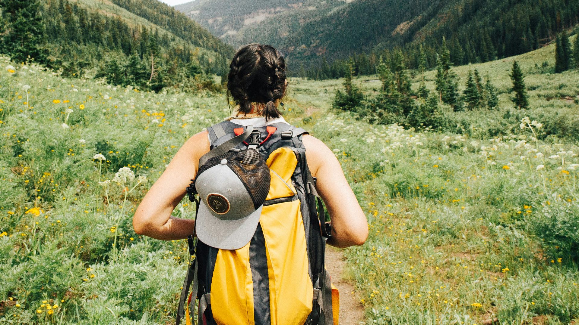 person carrying yellow and black backpack walking between green plants