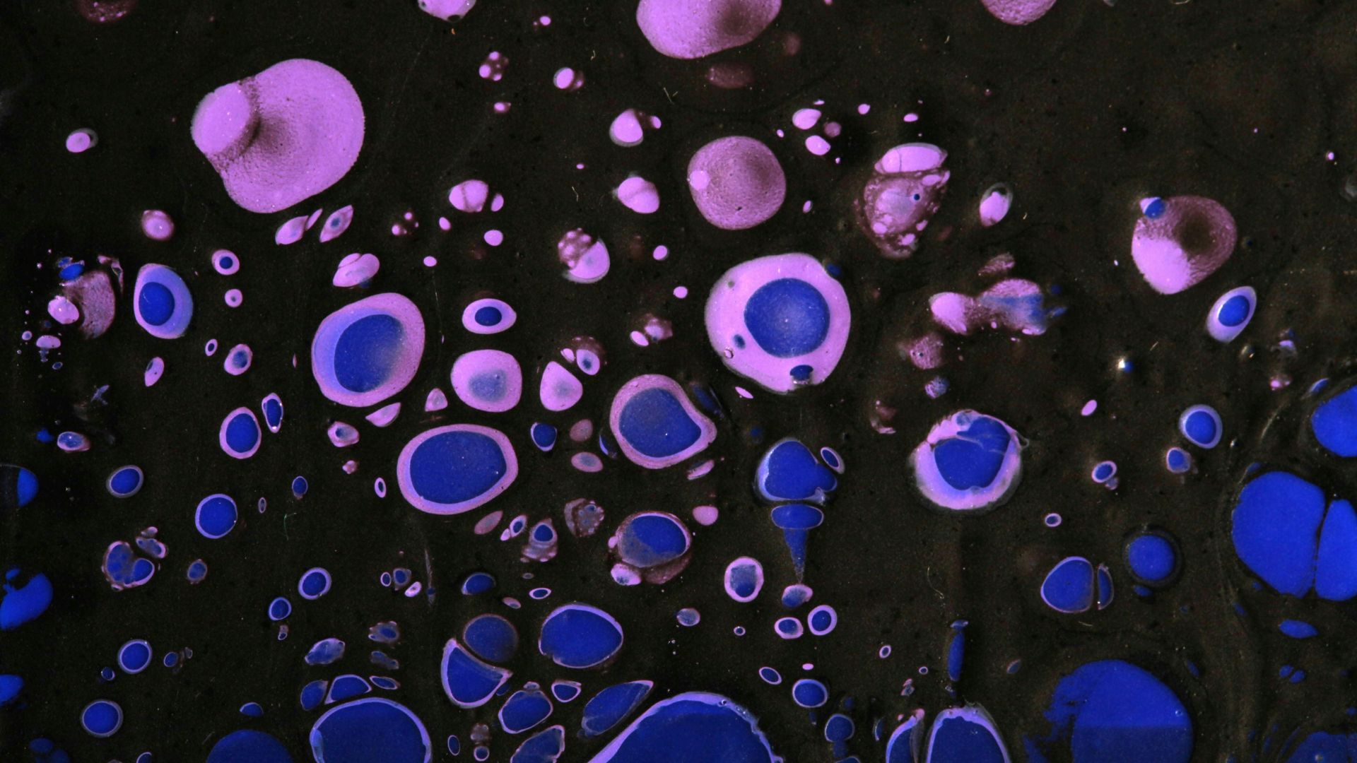 A close up of blue and black bubbles