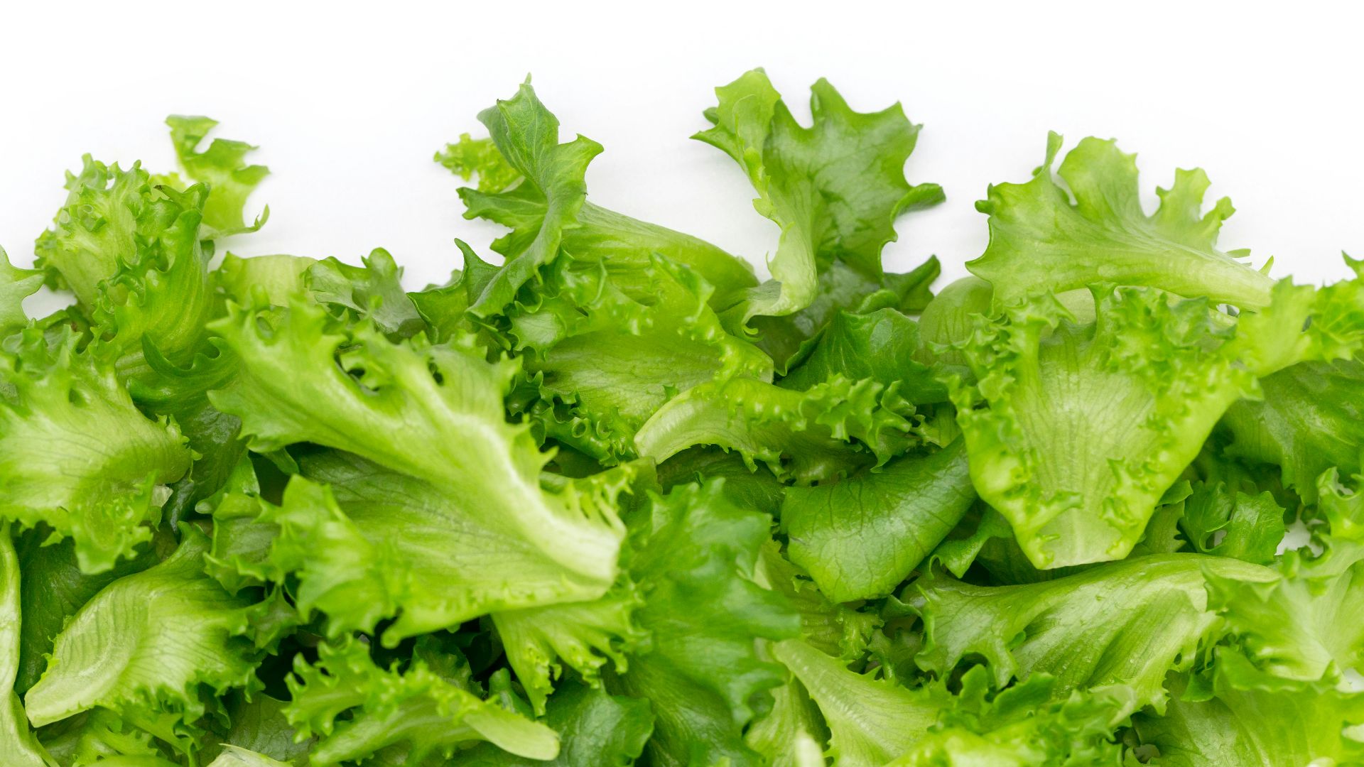green vegetable on white background