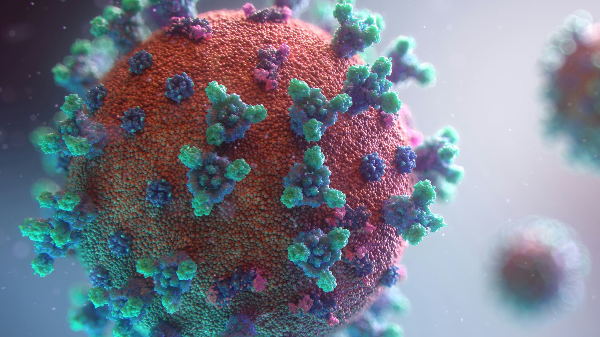 Visualization of the coronavirus causing COVID-19