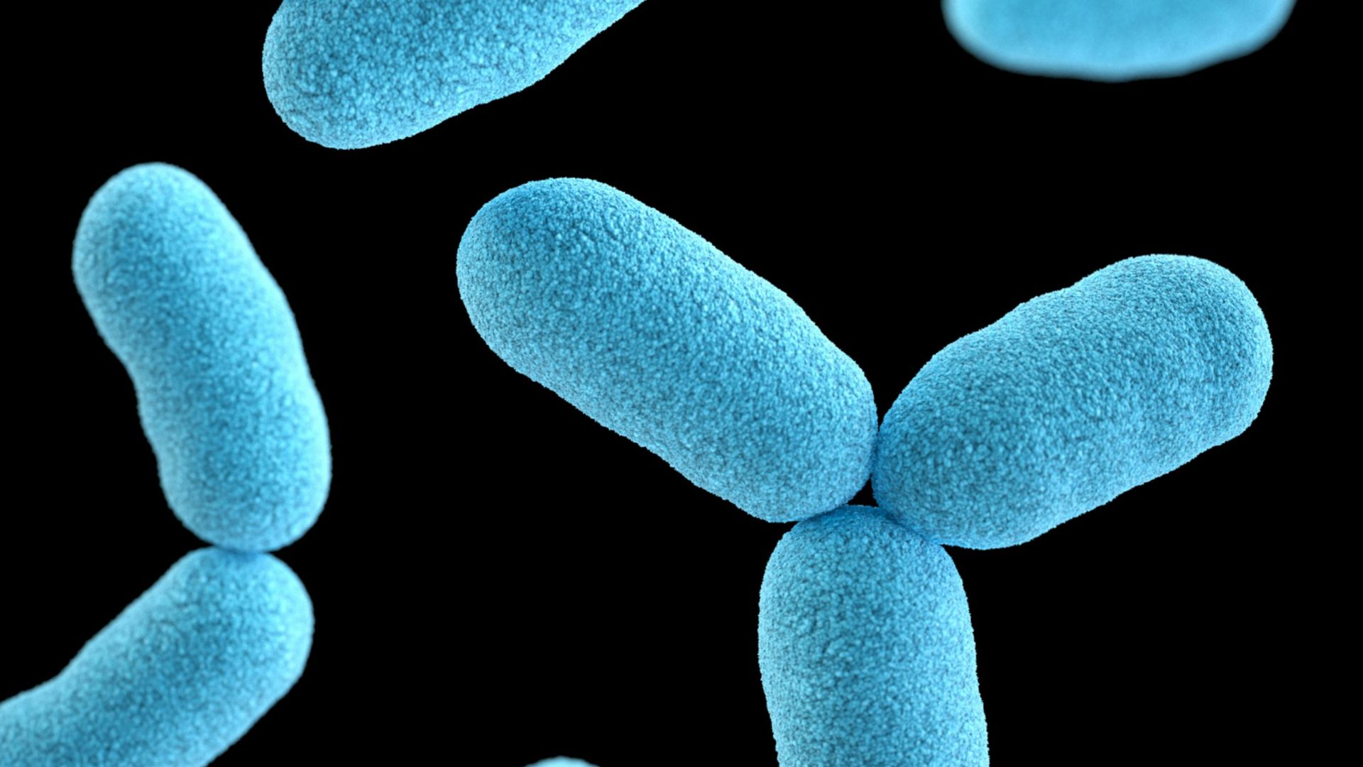 blue heart shaped clip art