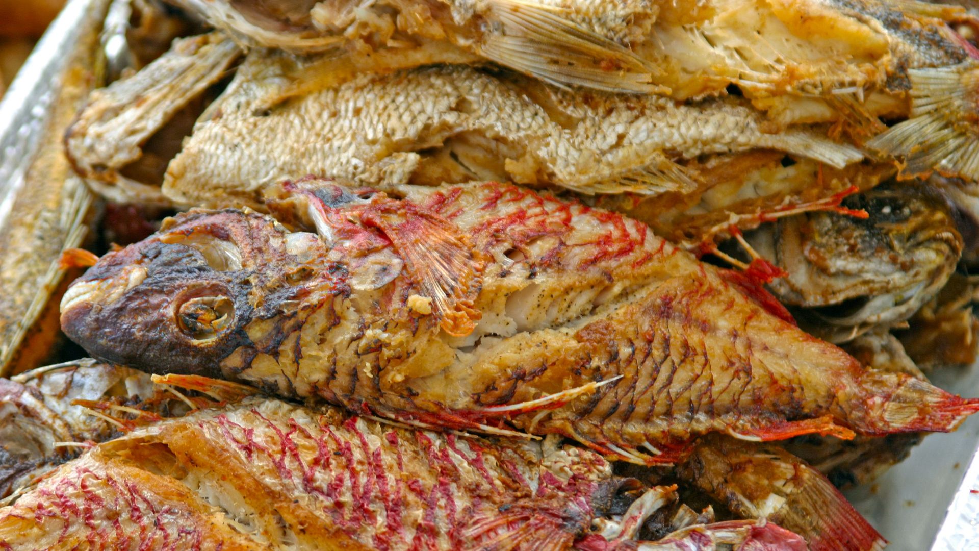 a pile of dead fish sitting on top of a table