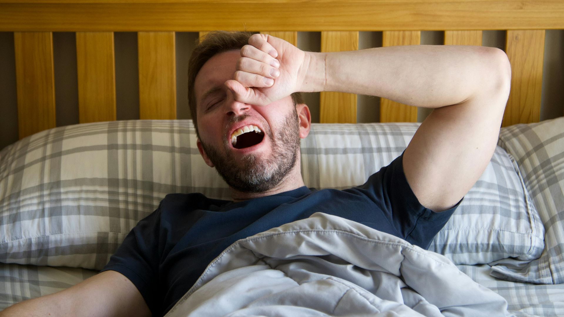 Andrew Patrick Photo