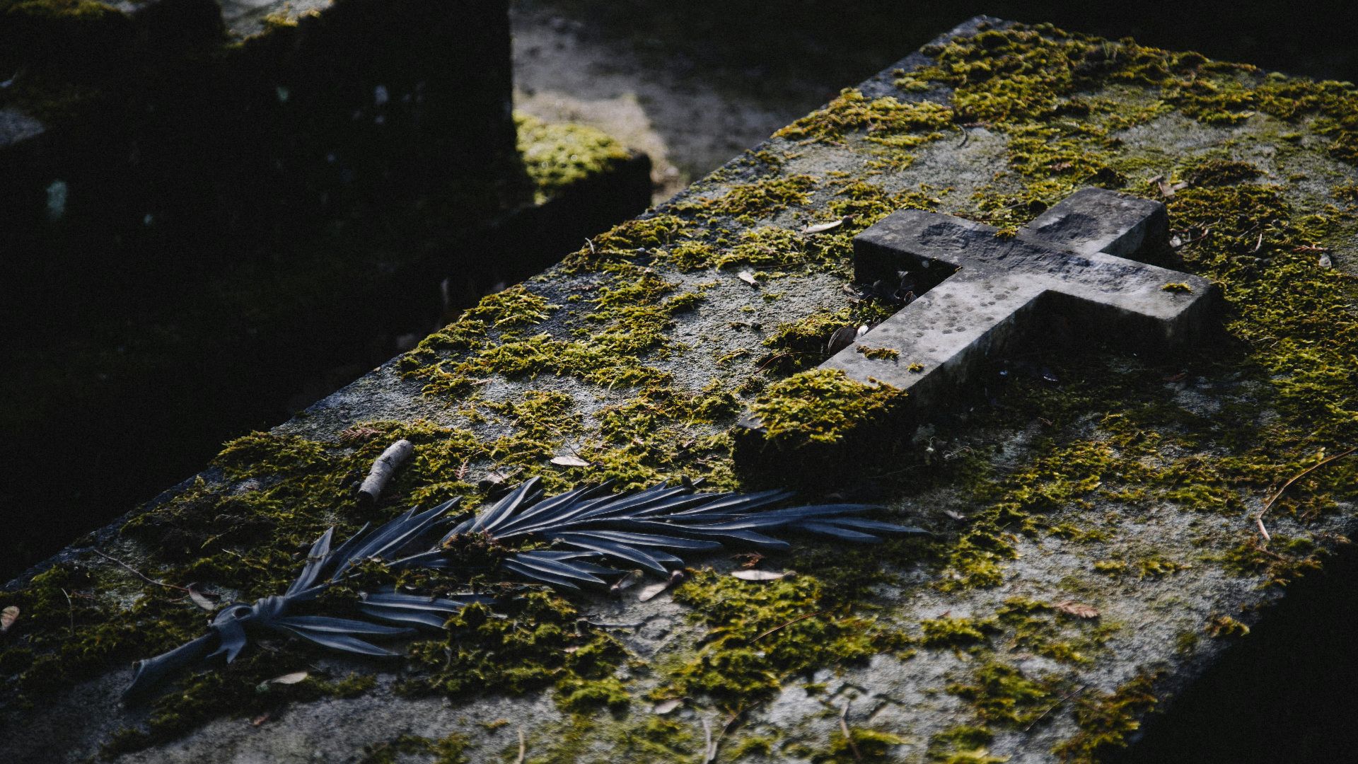 water on gray concrete stairs