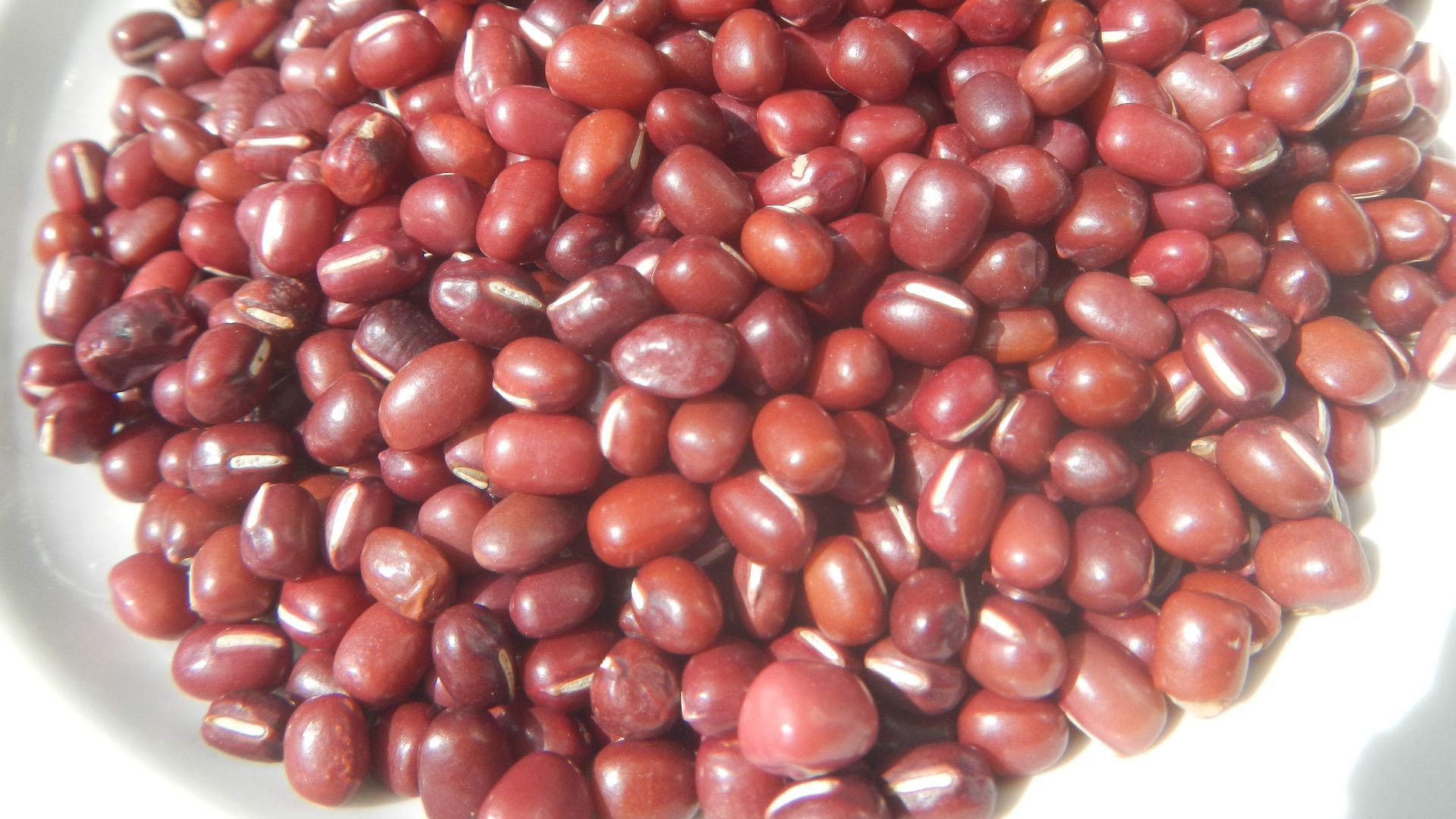 File:0879Adzuki beans in the Philippines textures 07.jpg