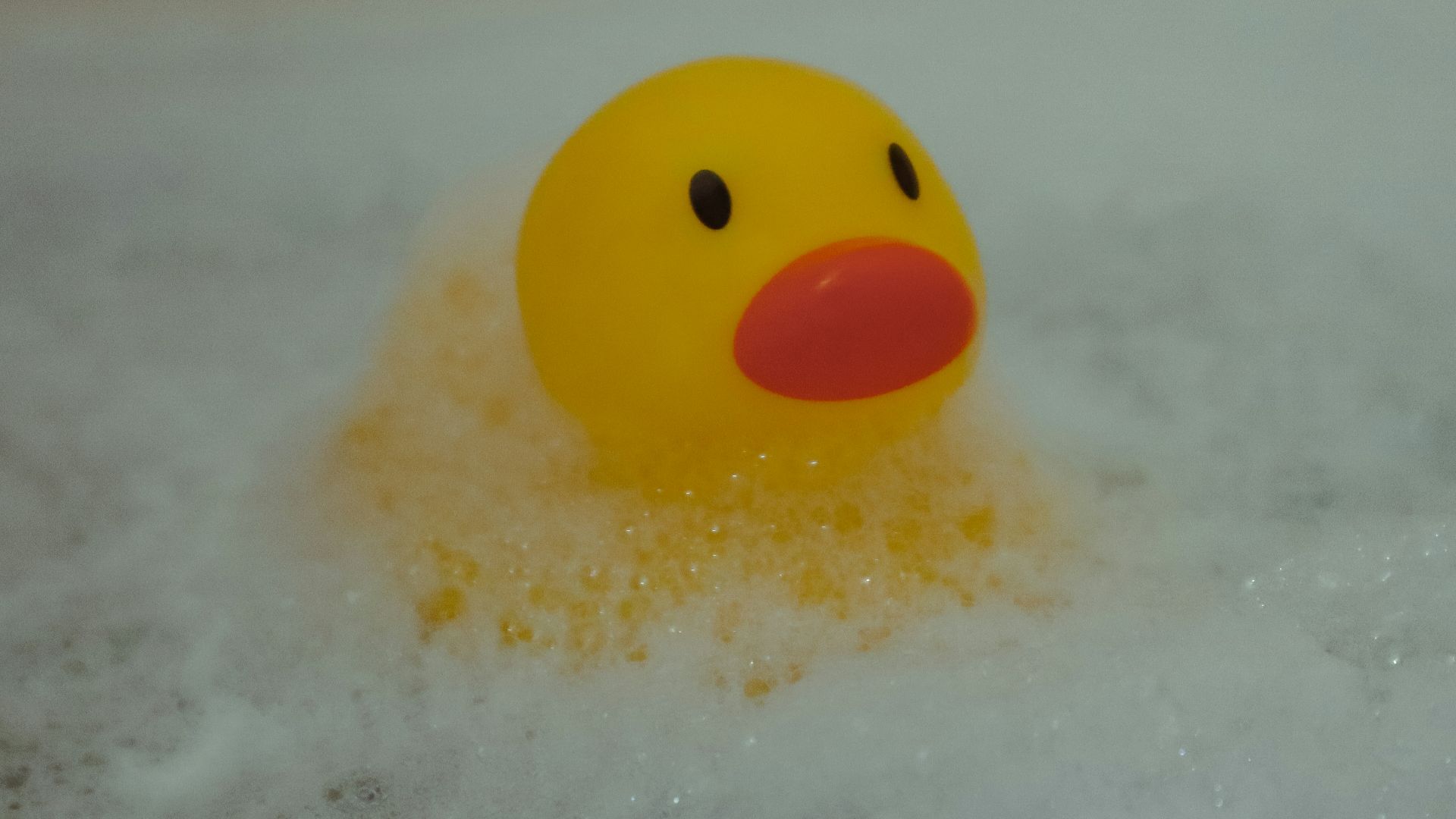 a yellow rubber ducky