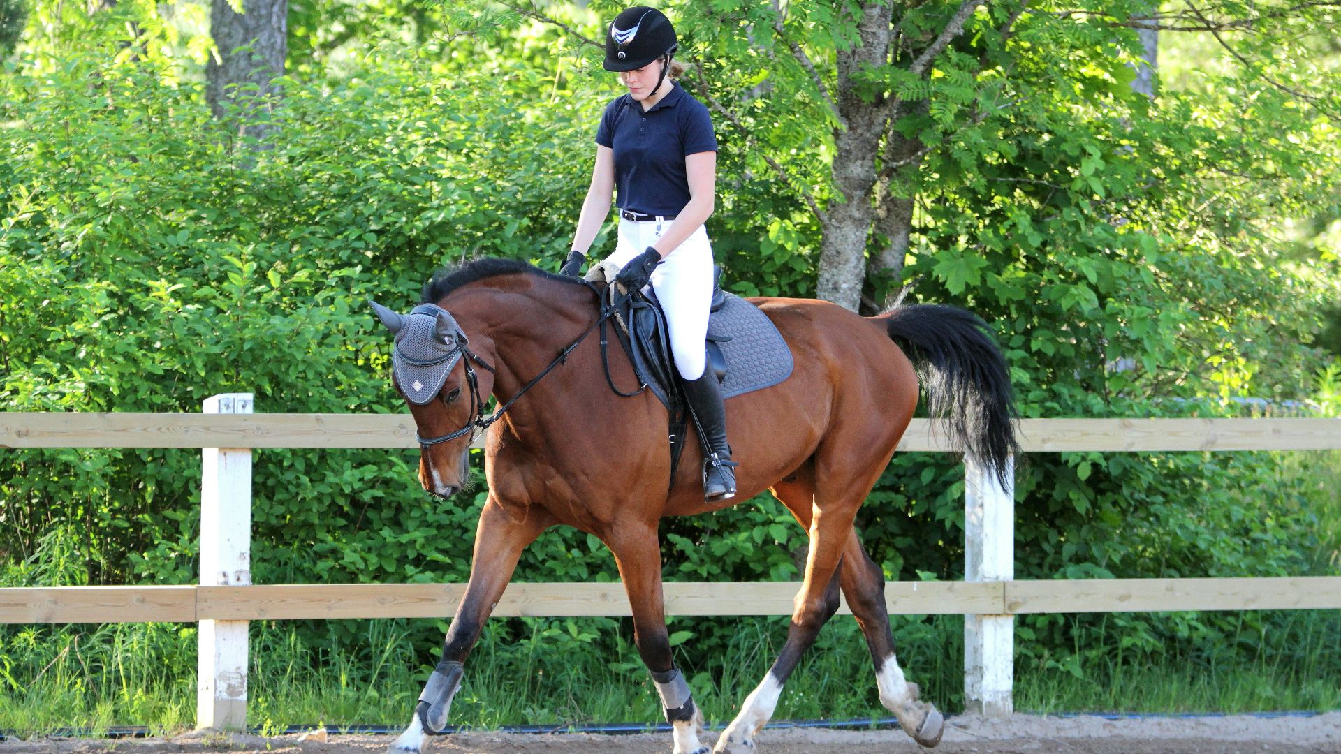 woman in white shirt riding brown horse during daytime