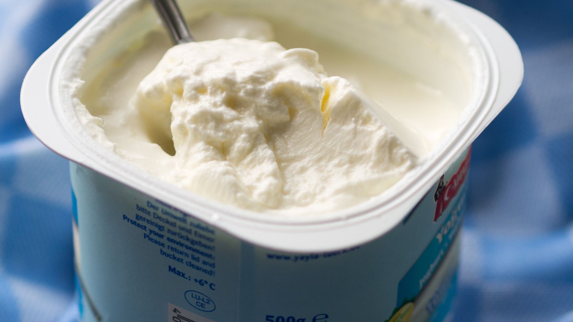 File:Turkish strained yogurt.jpg