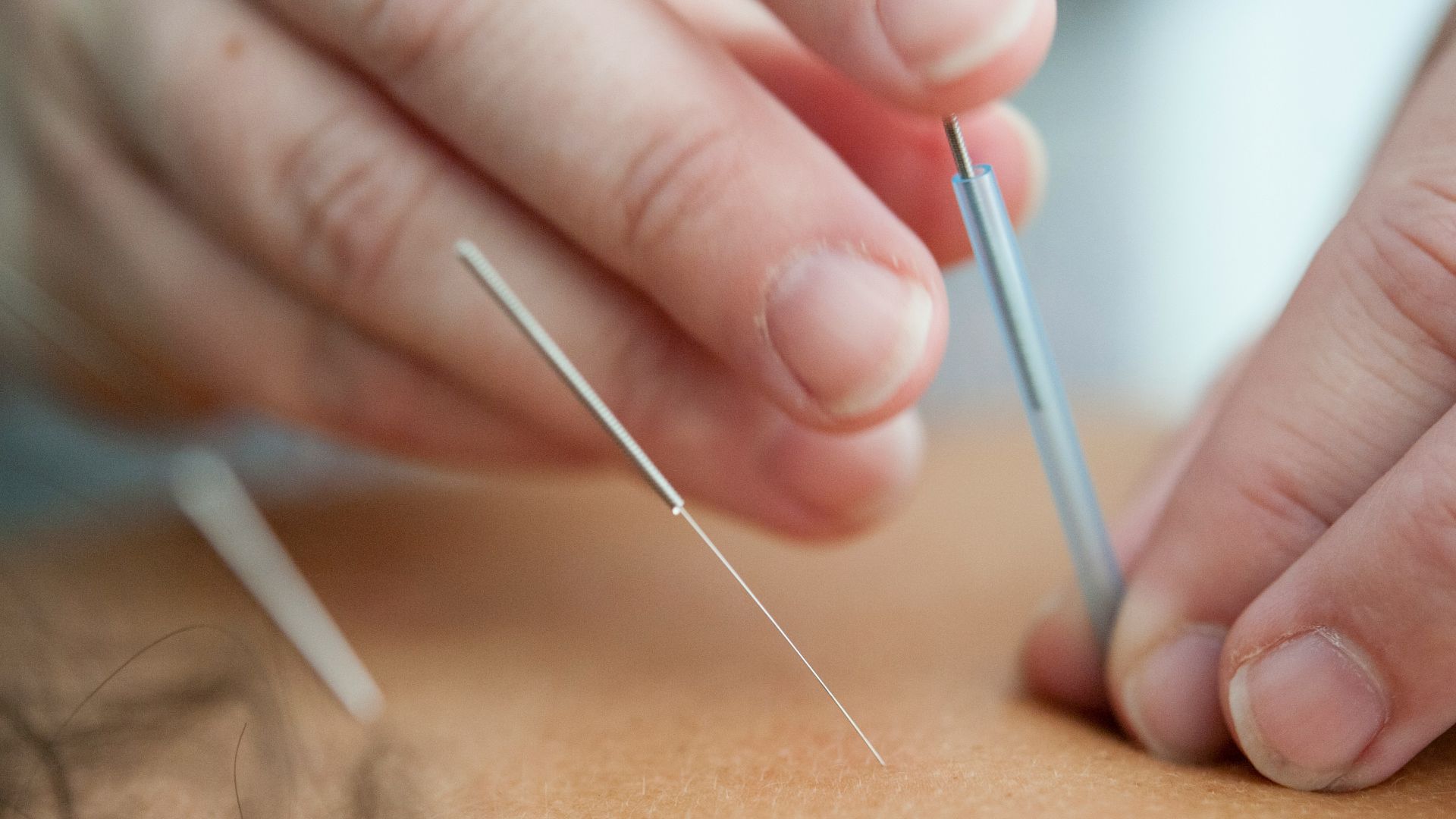 person holding silver and white pen