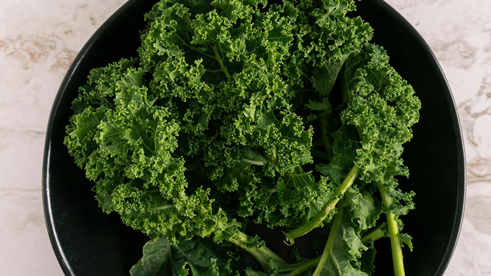 Antoni Shkraba Studio