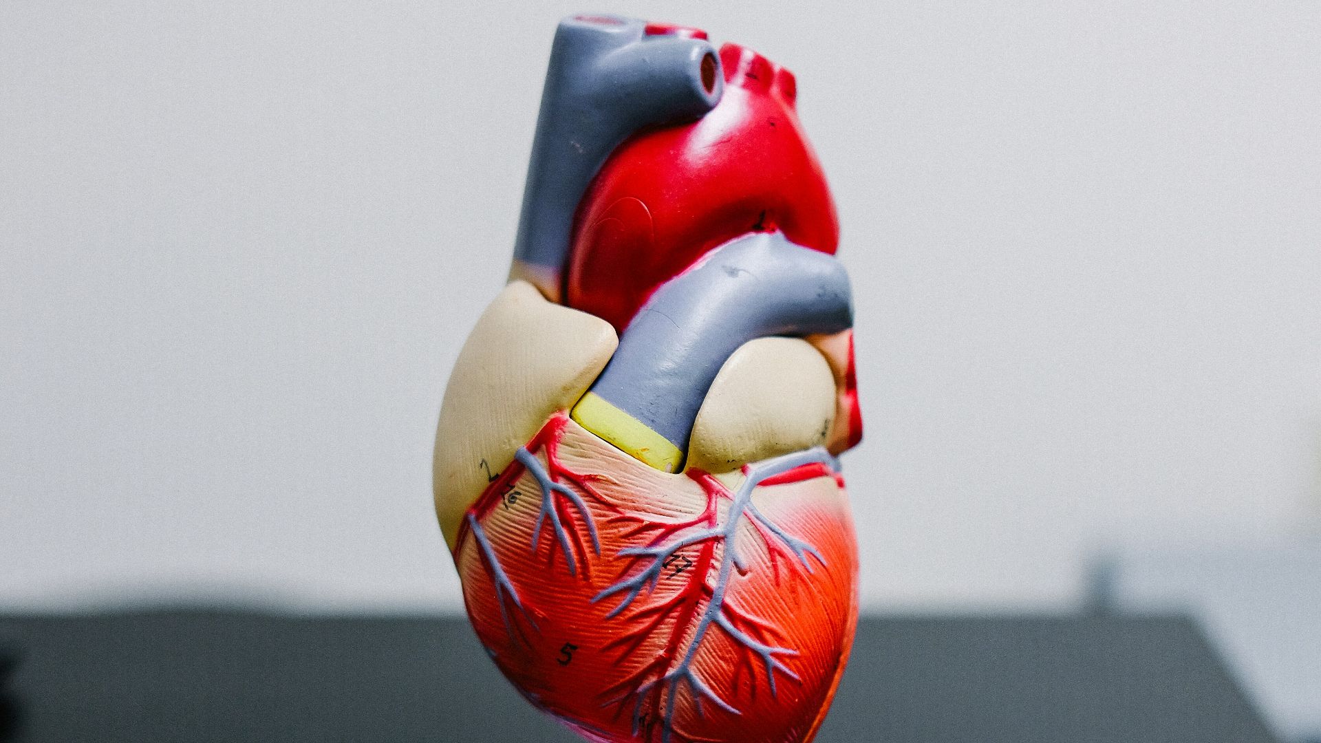 red and yellow bird figurine