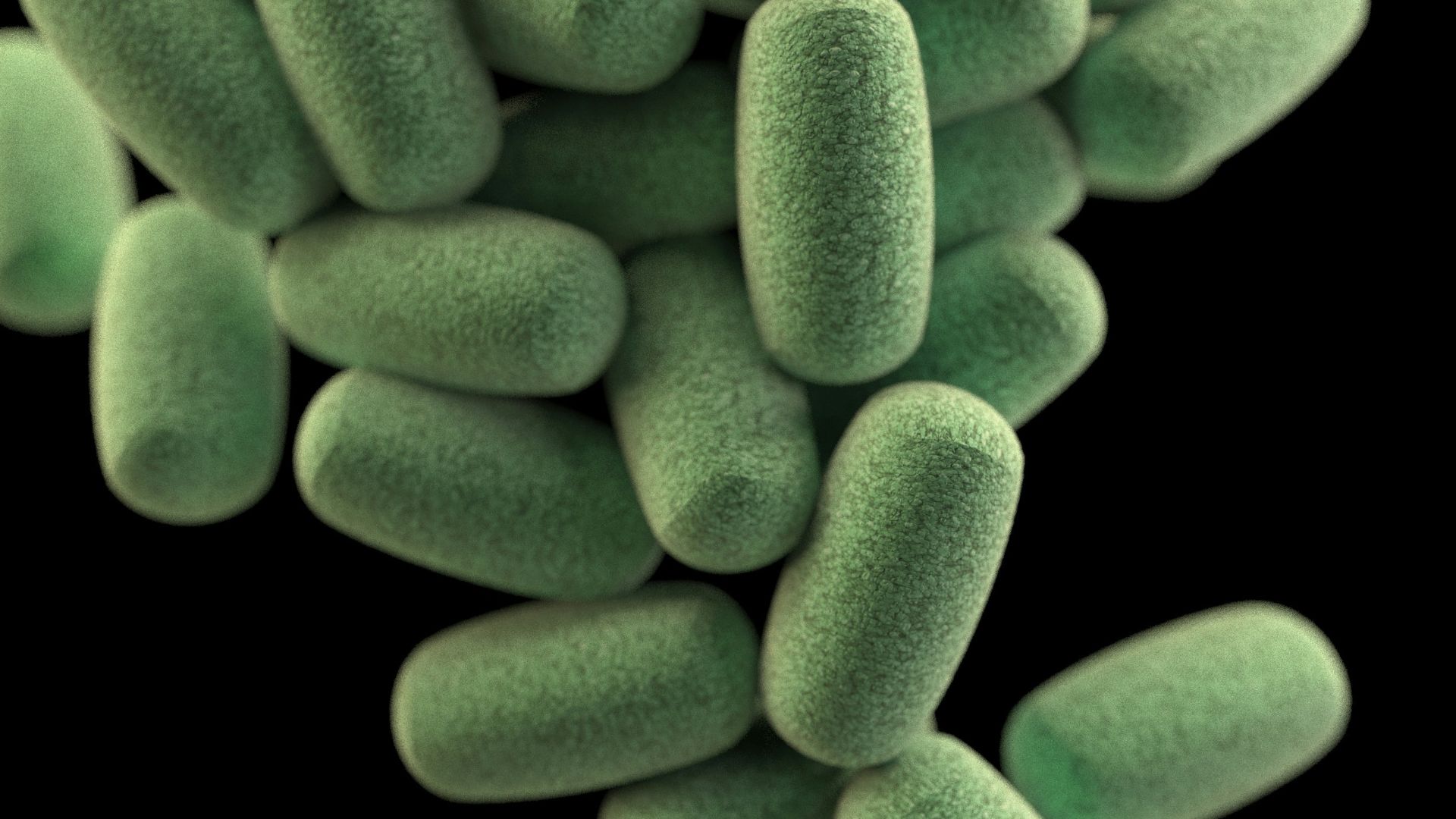 green oval medication pill lot