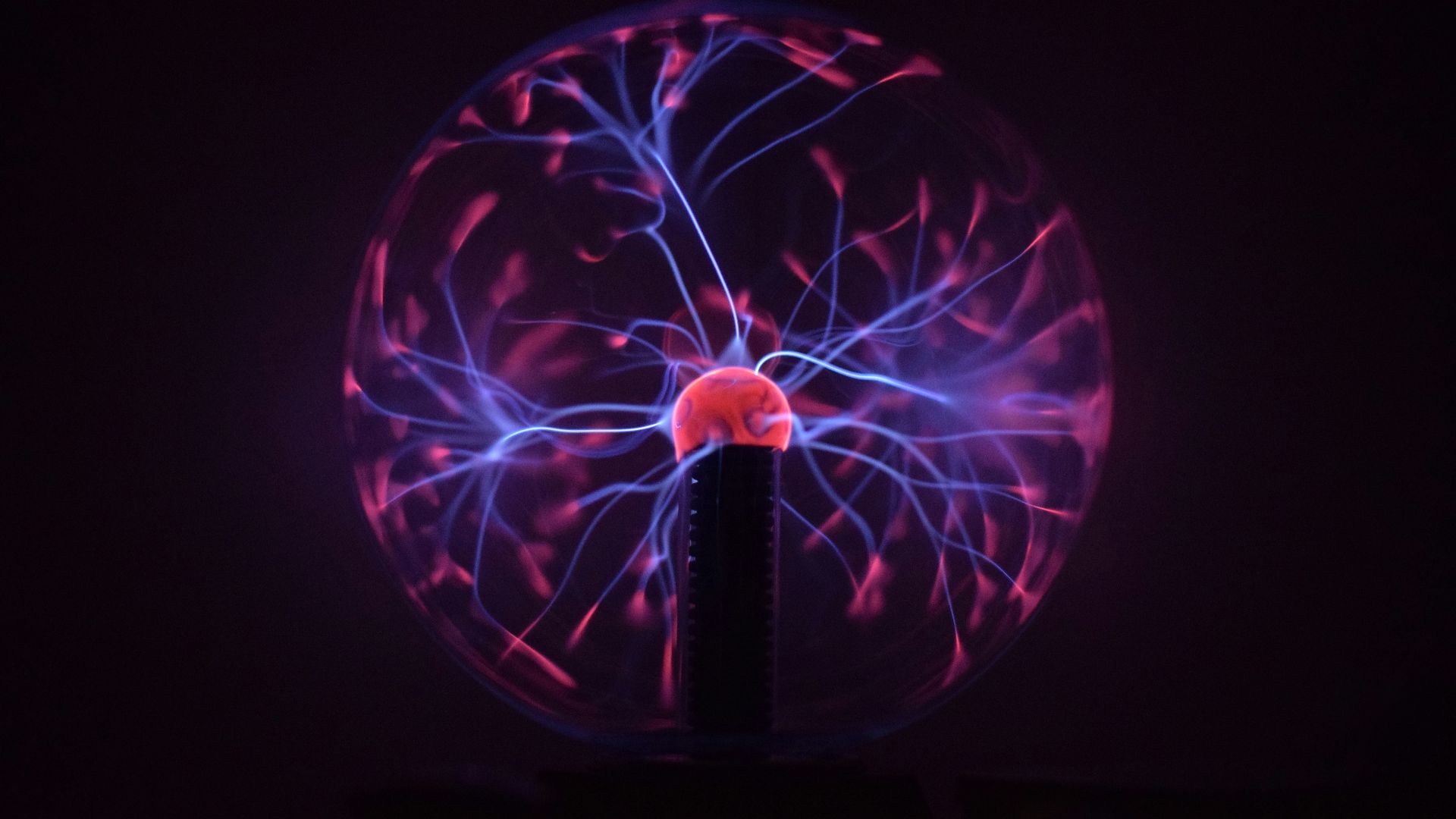 a jellyfish in the water