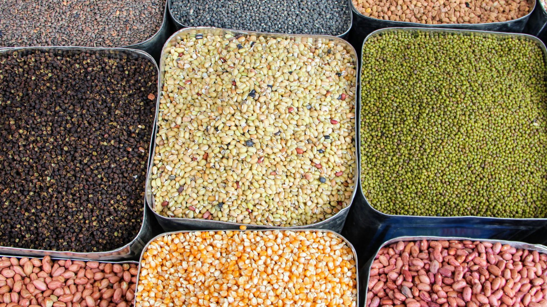 a variety of beans and cereals in trays