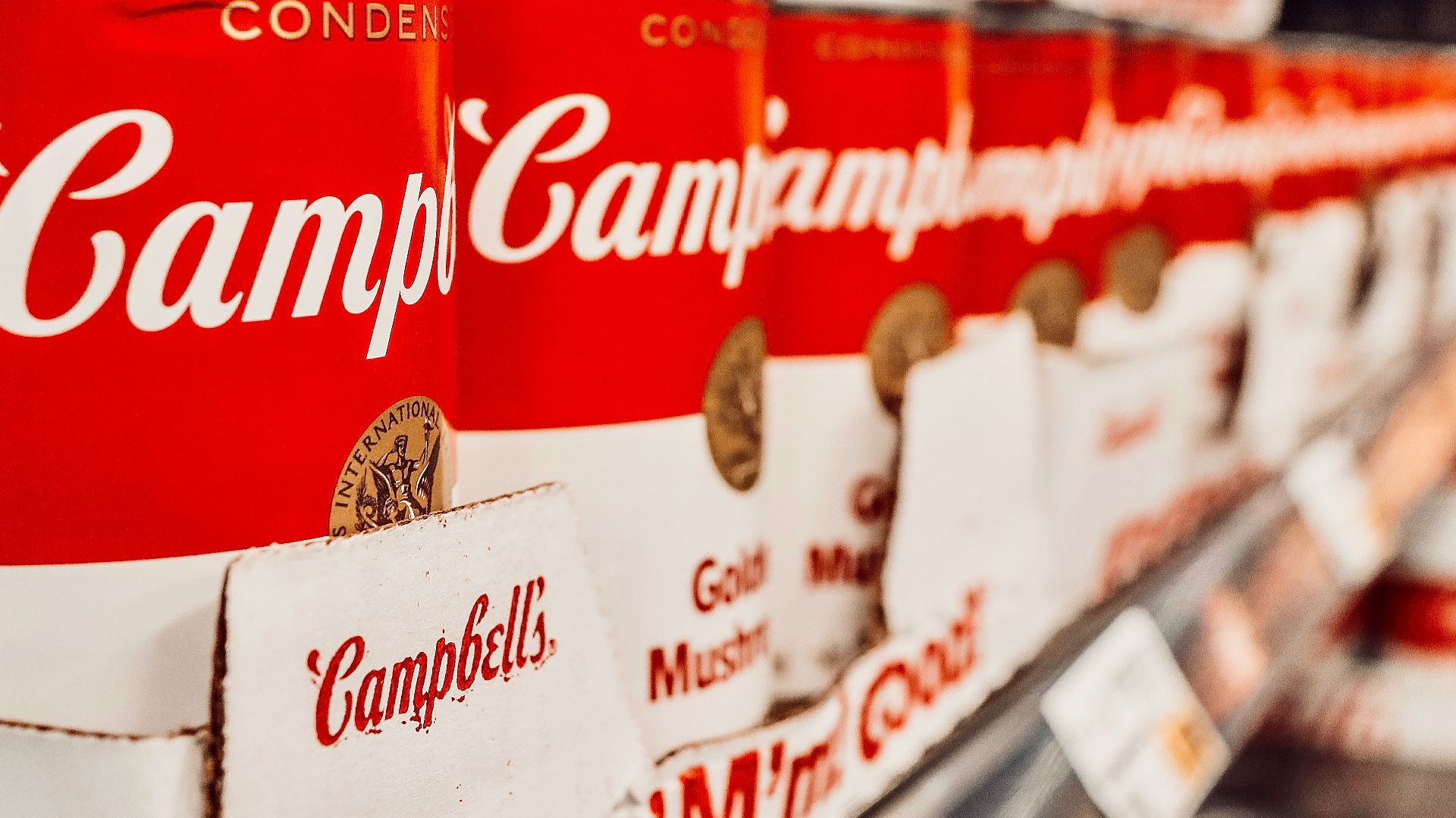 cans of campbell campbell campbell campbell campbell campbell campbell campbell campbell campbell campbell campbell campbell campbell