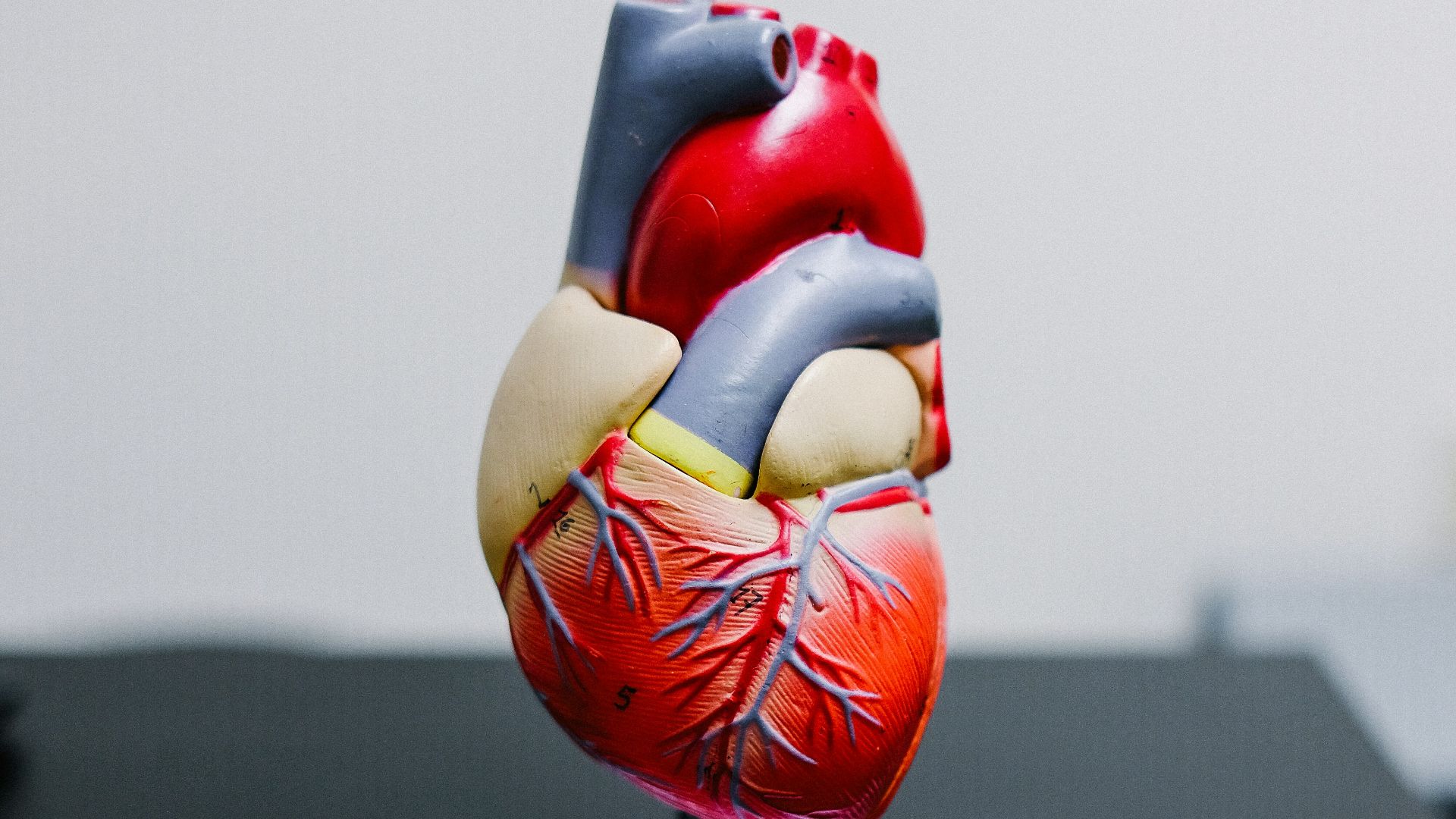 red and yellow bird figurine