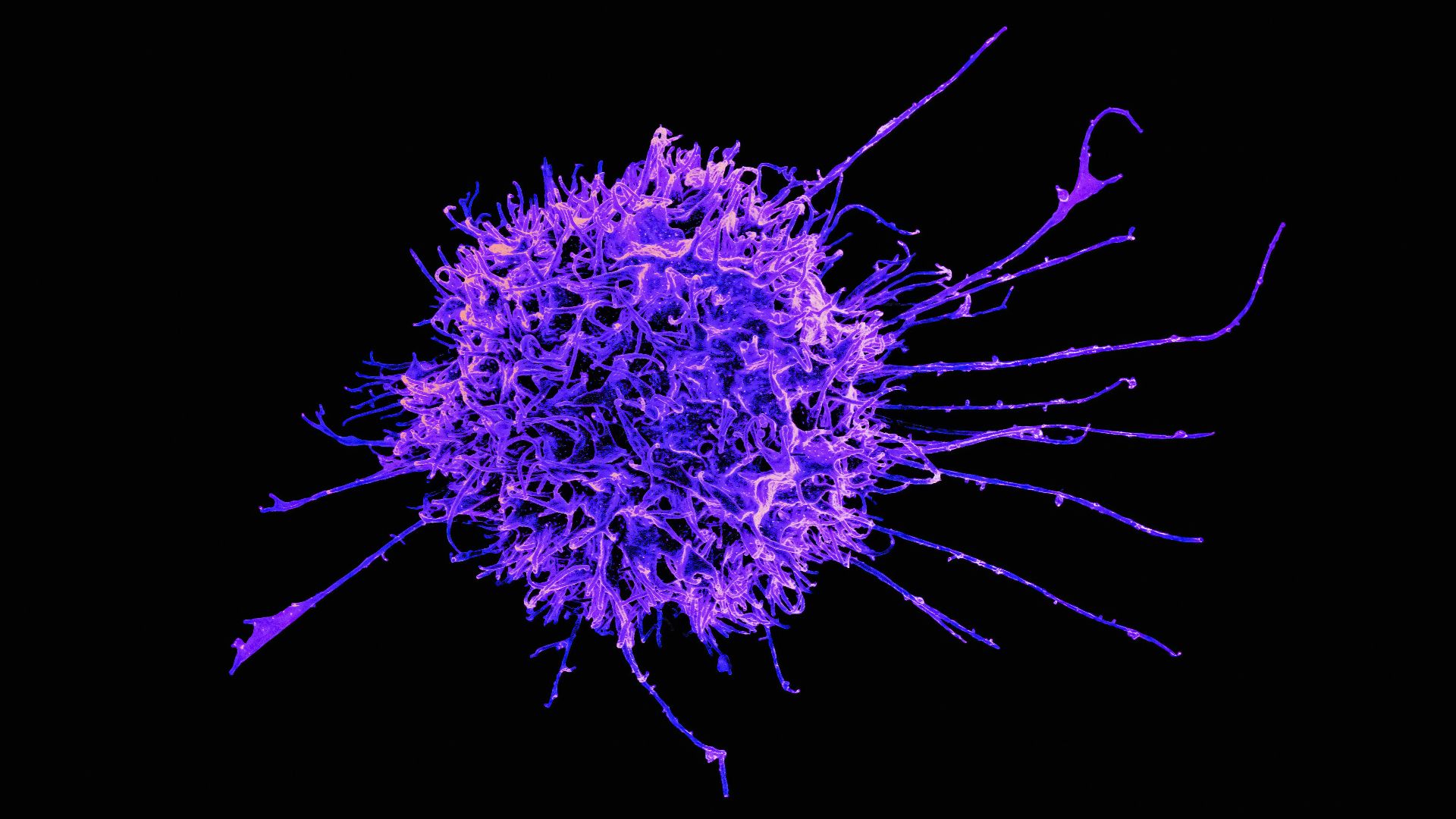 a purple substance is shown on a black background