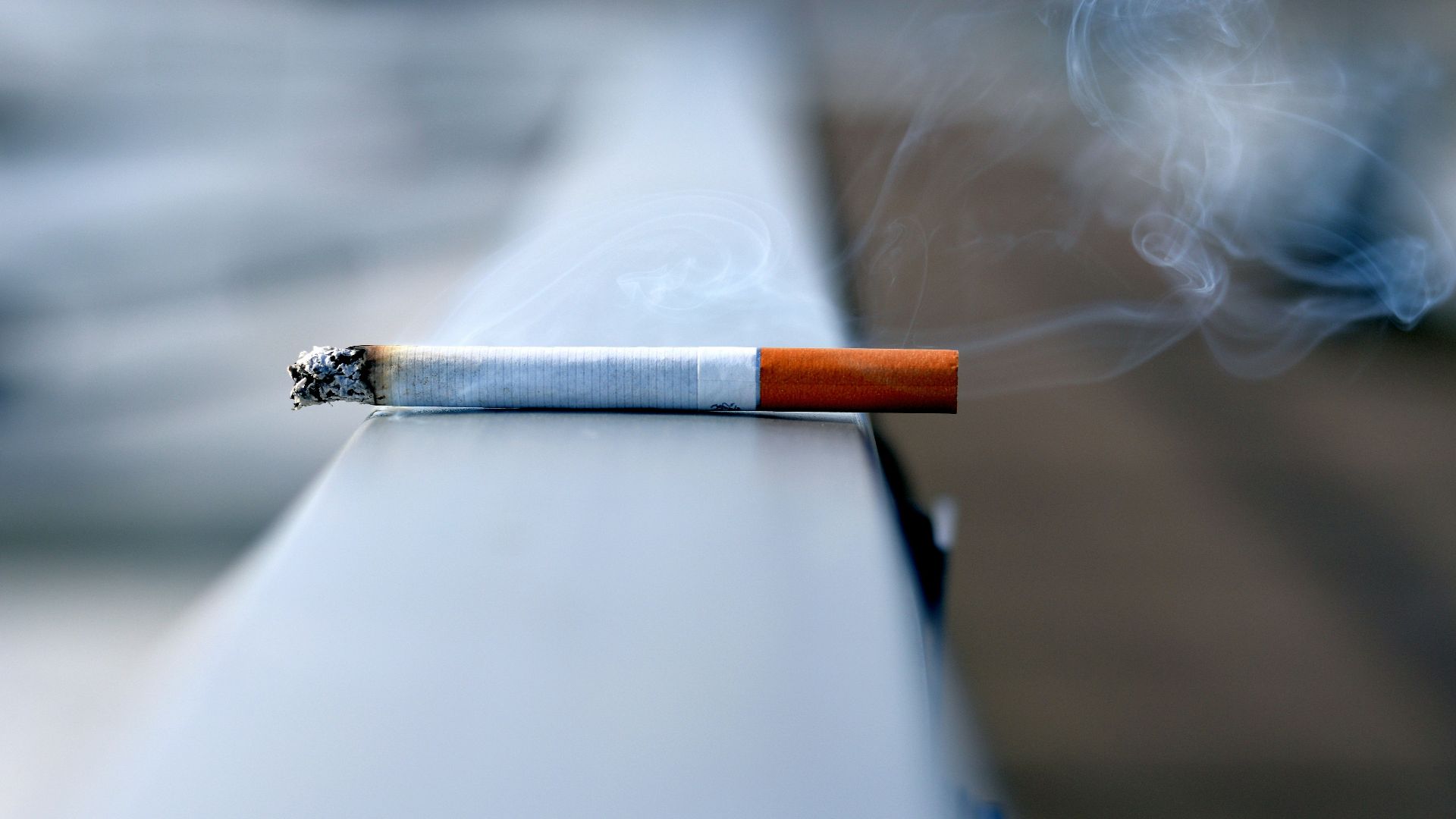 white cigarette stick on white wall
