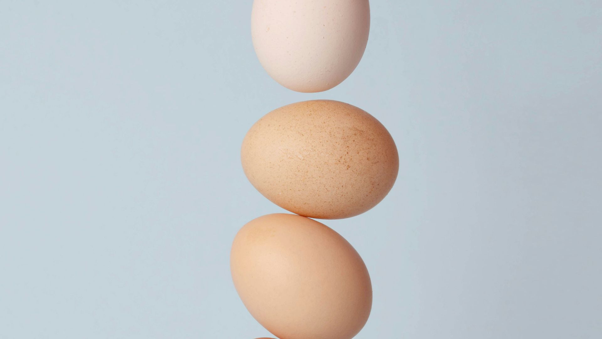 brown and white eggs