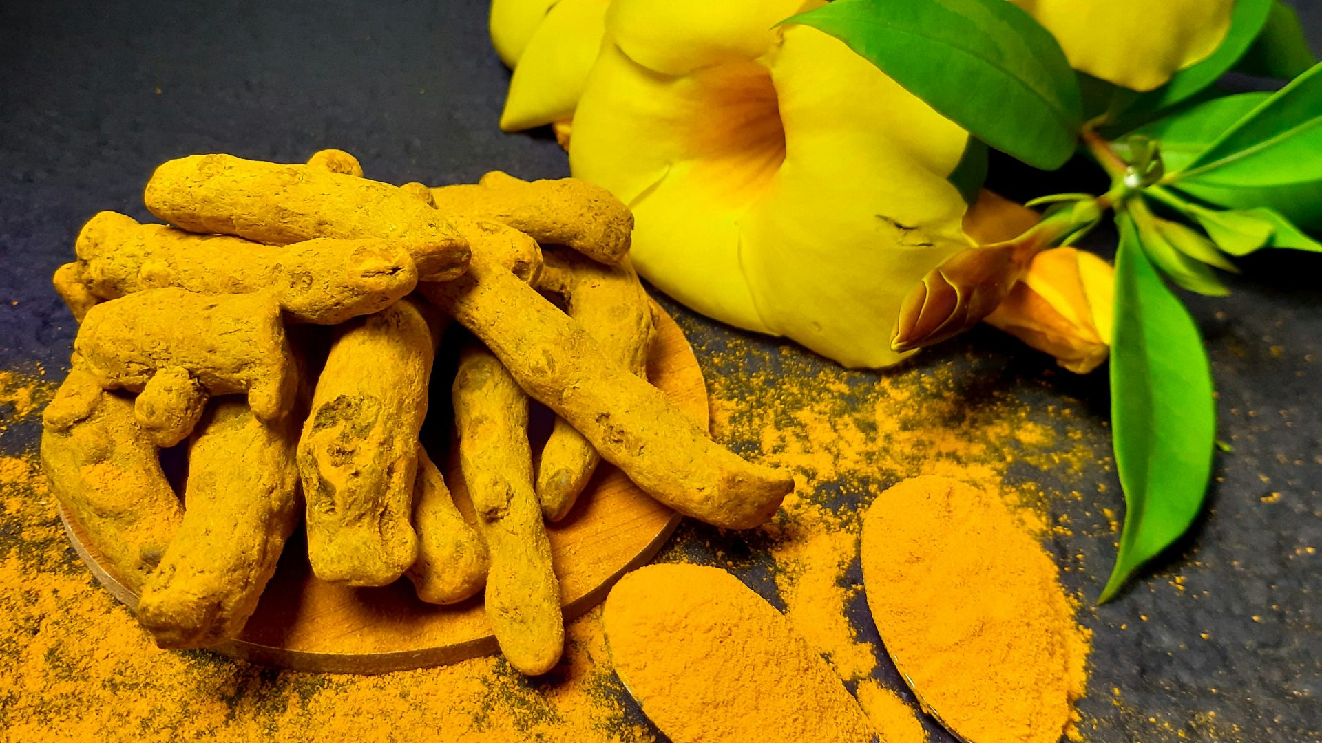 yellow flower on gray surface