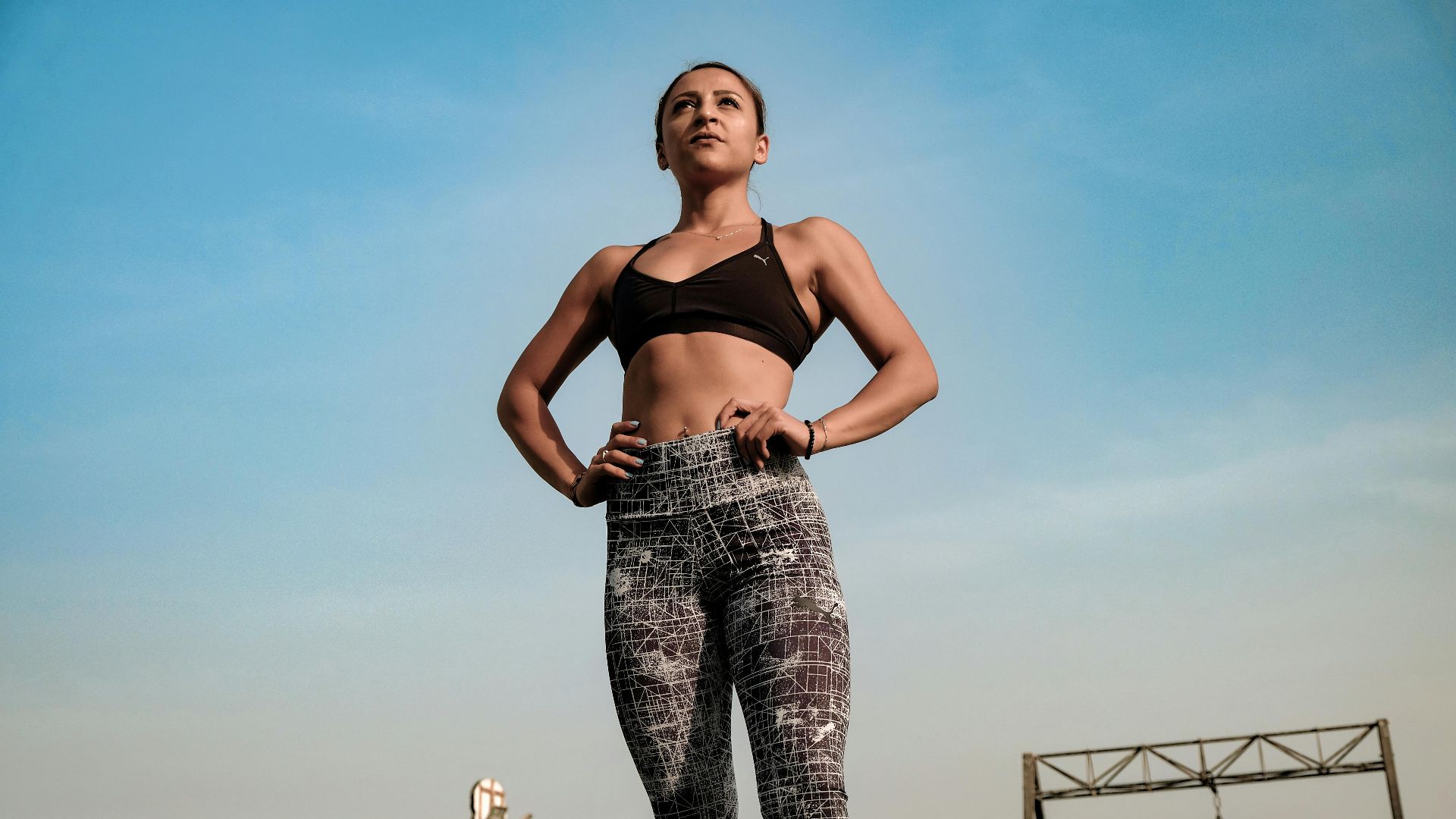 The Lazy Artist Gallery