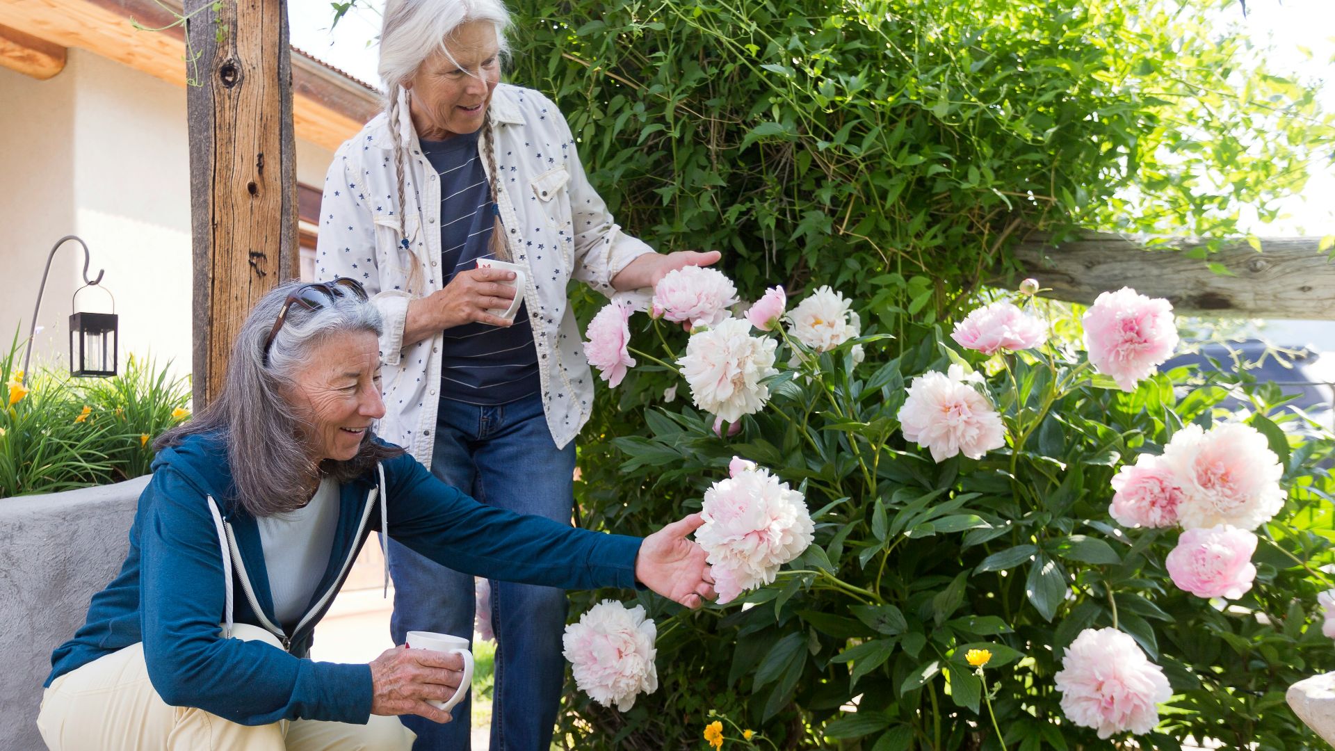 Two women admire pink flowers in a garden.