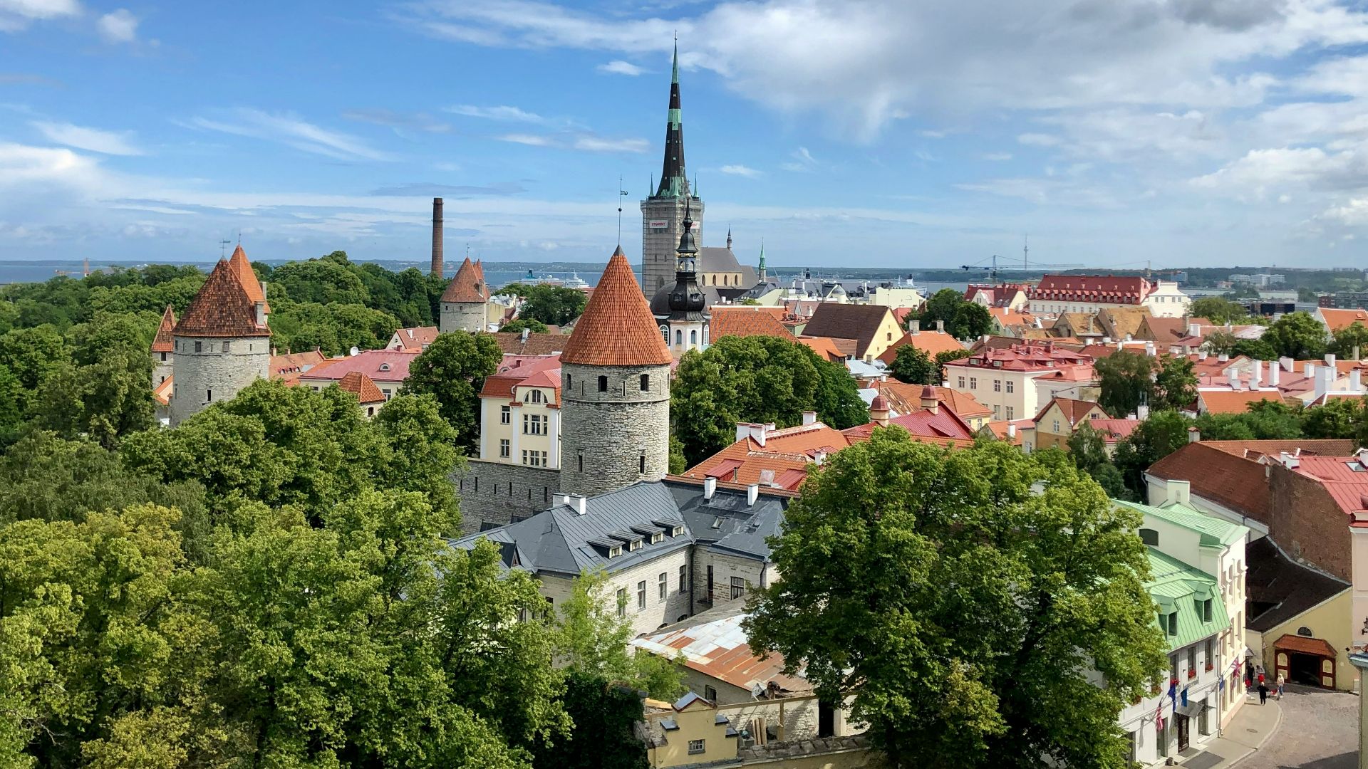 aerial photo of city building