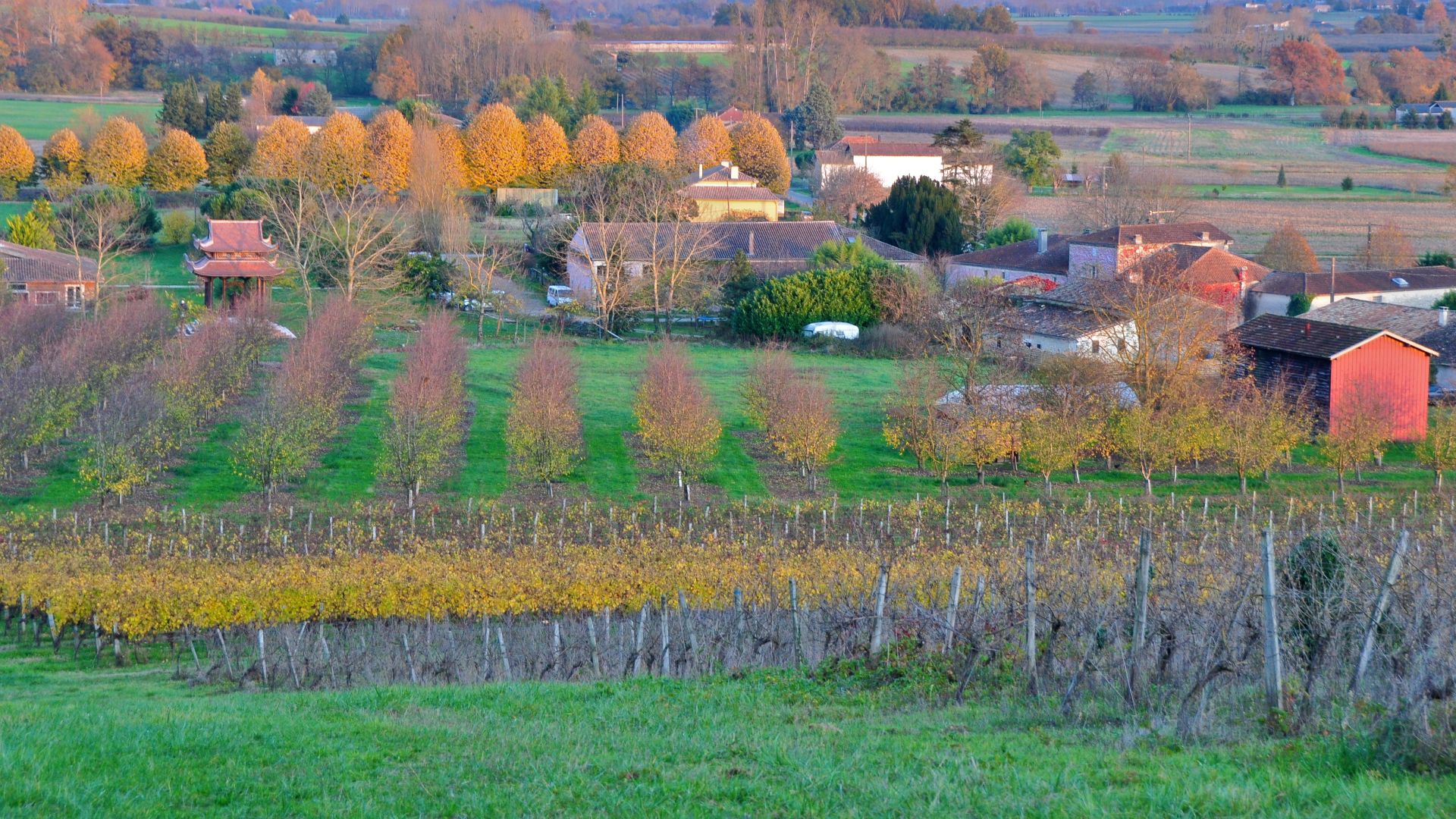 File:New Hamlet - Plum Village4.jpg