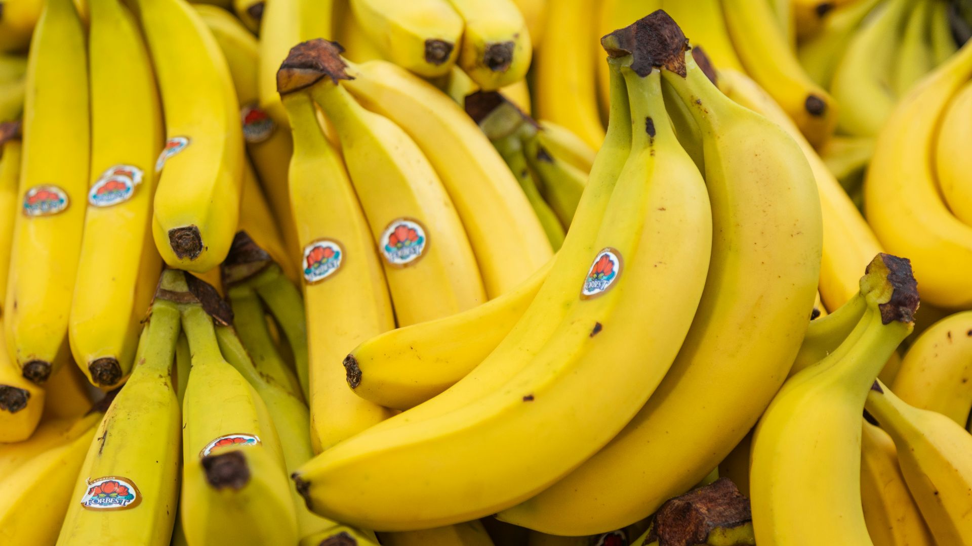 a bunch of bananas with stickers on them