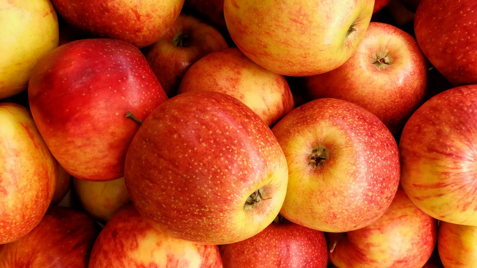 red and yellow apples on yellow plastic container