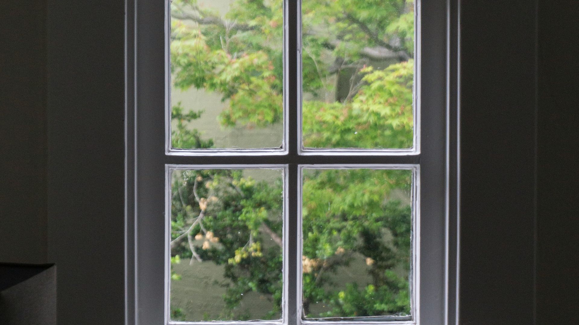gray wooden windowpane