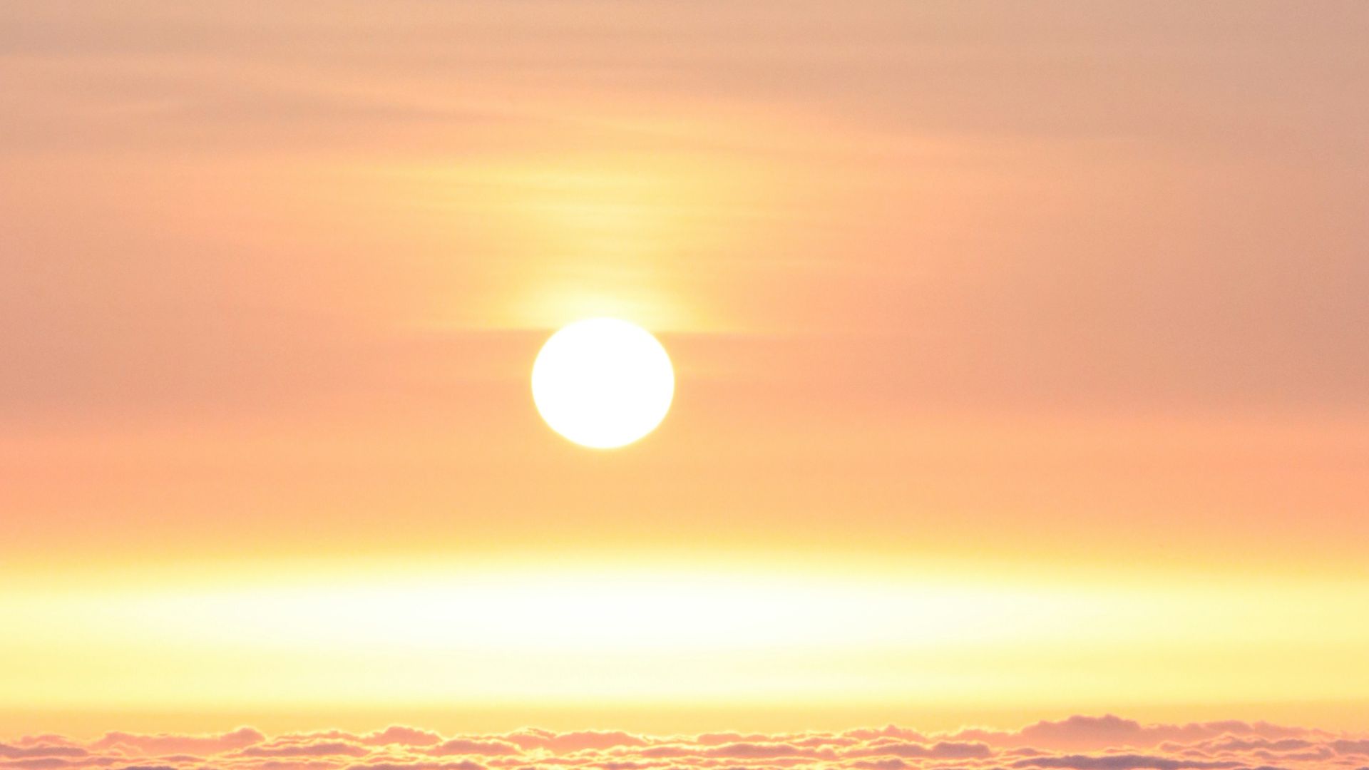 orange skies under sun