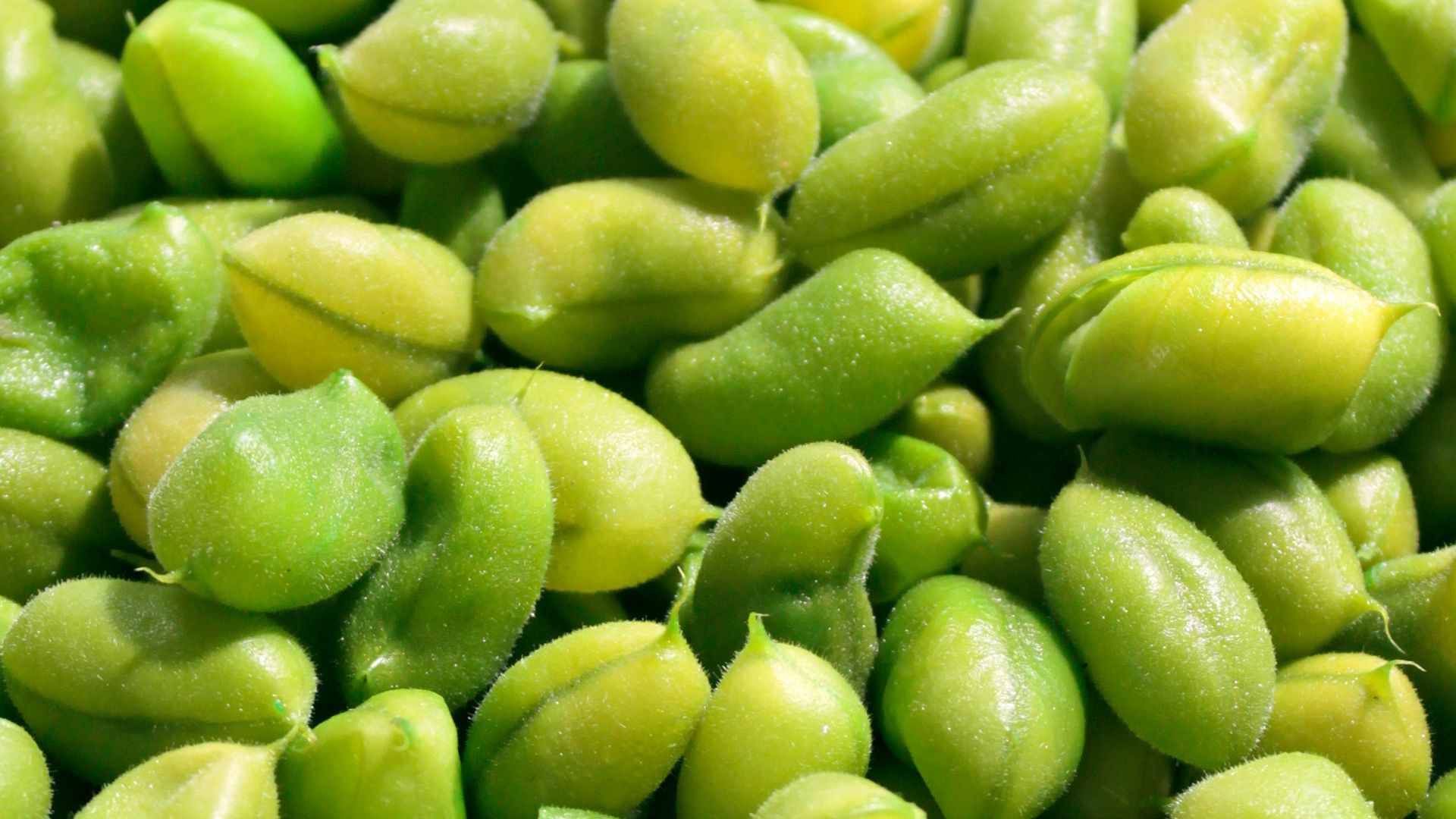 green fruits