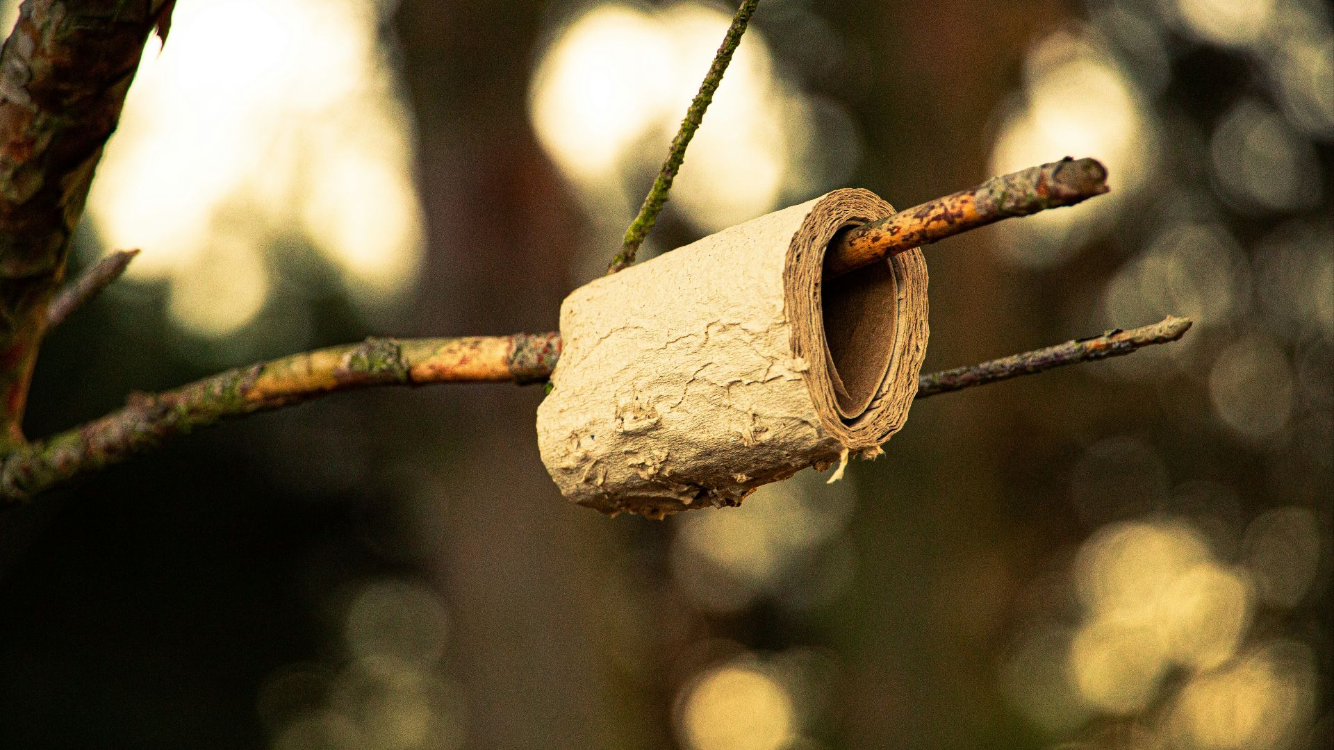 brown wooden padlock on brown metal wire