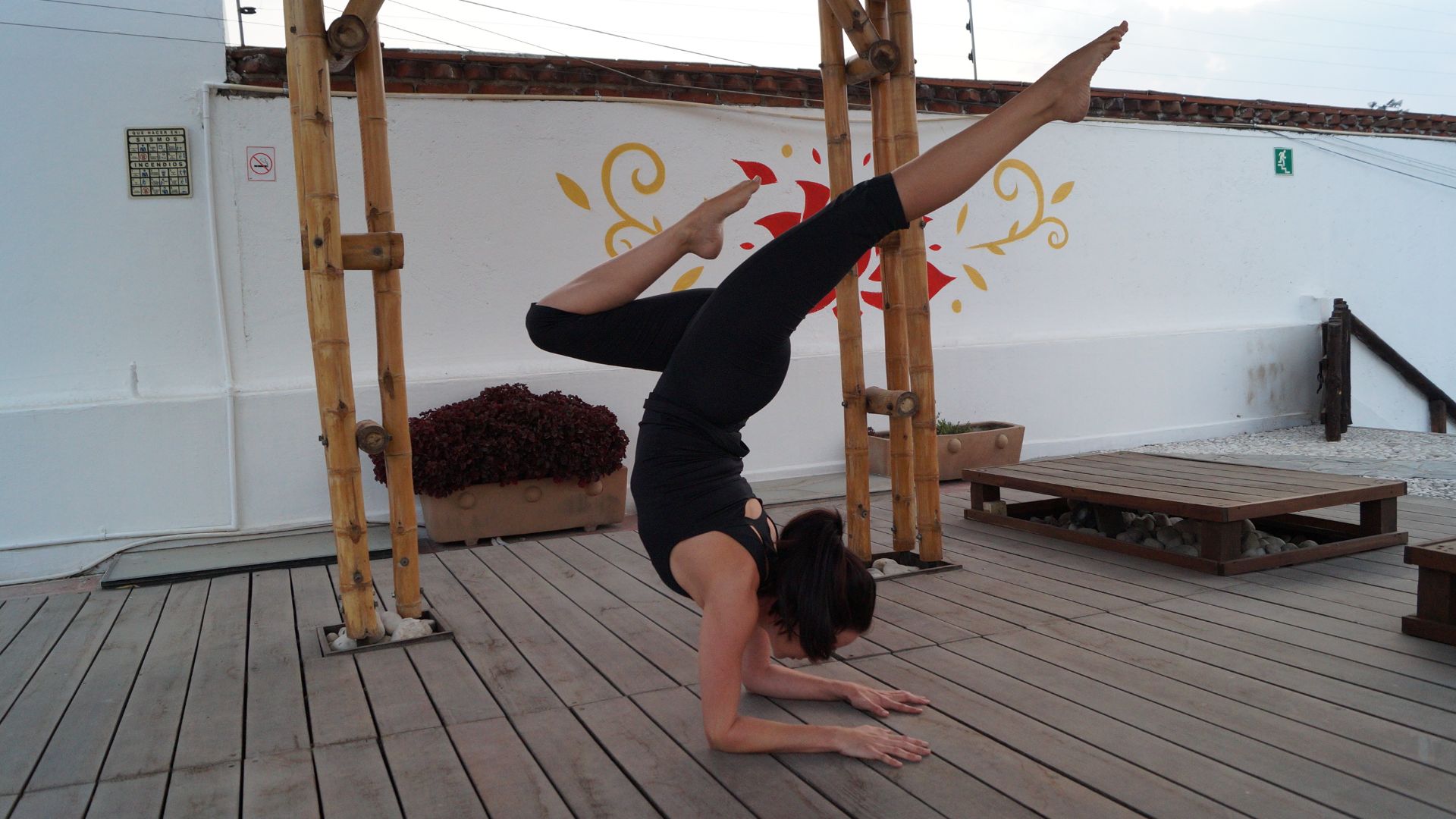 File:Pincha Mayurasana (variant).jpg