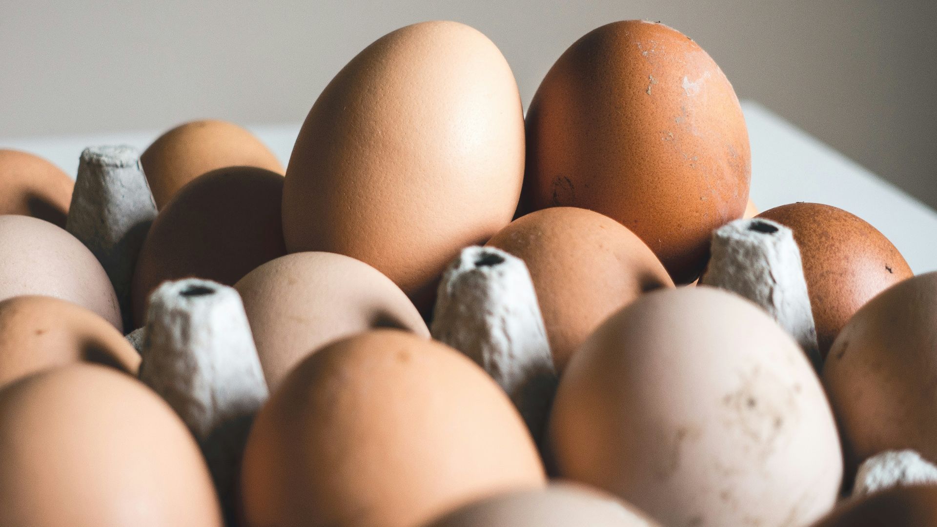shallow focus photography of brown eggs