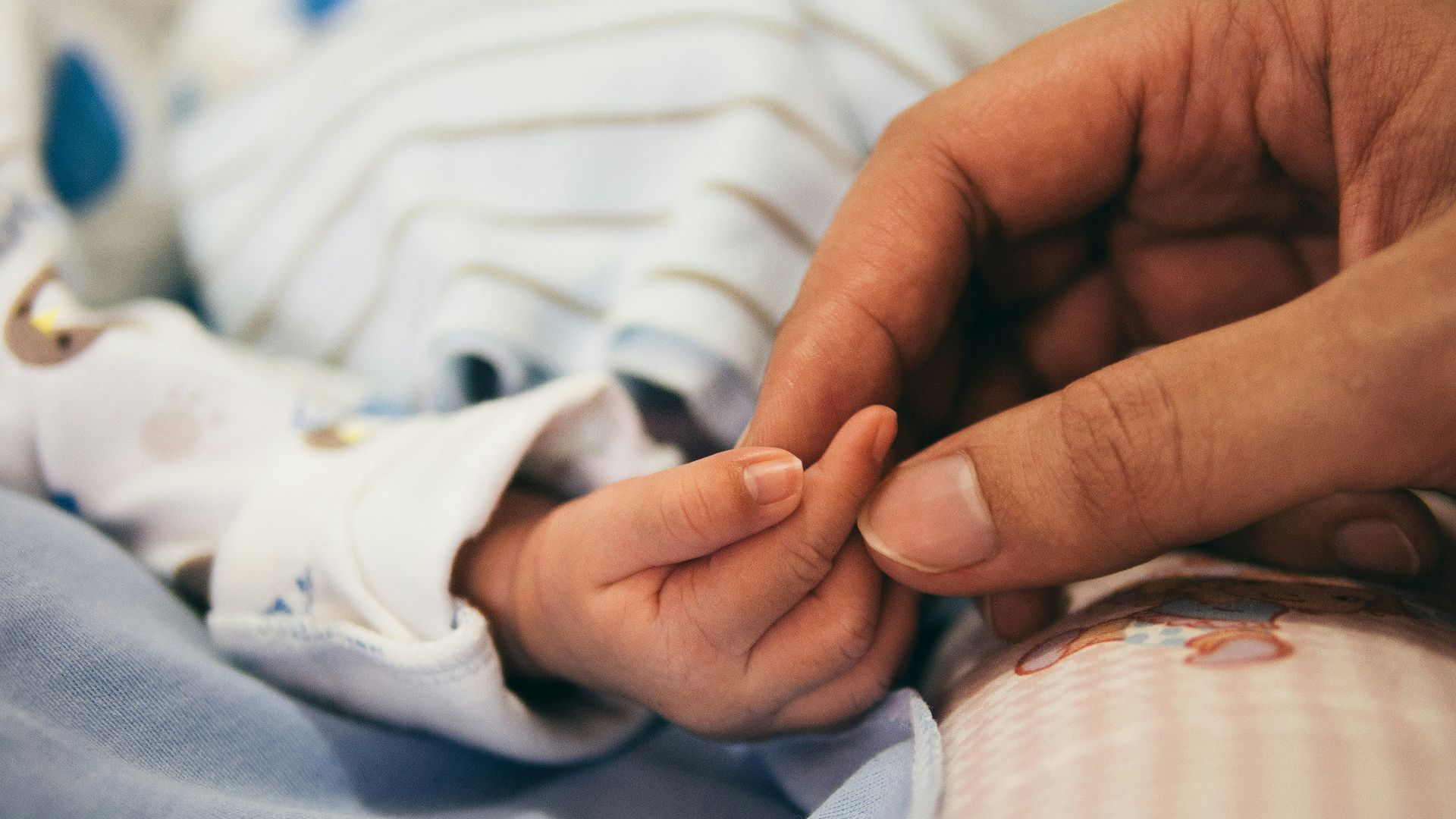 person holding baby's index finger