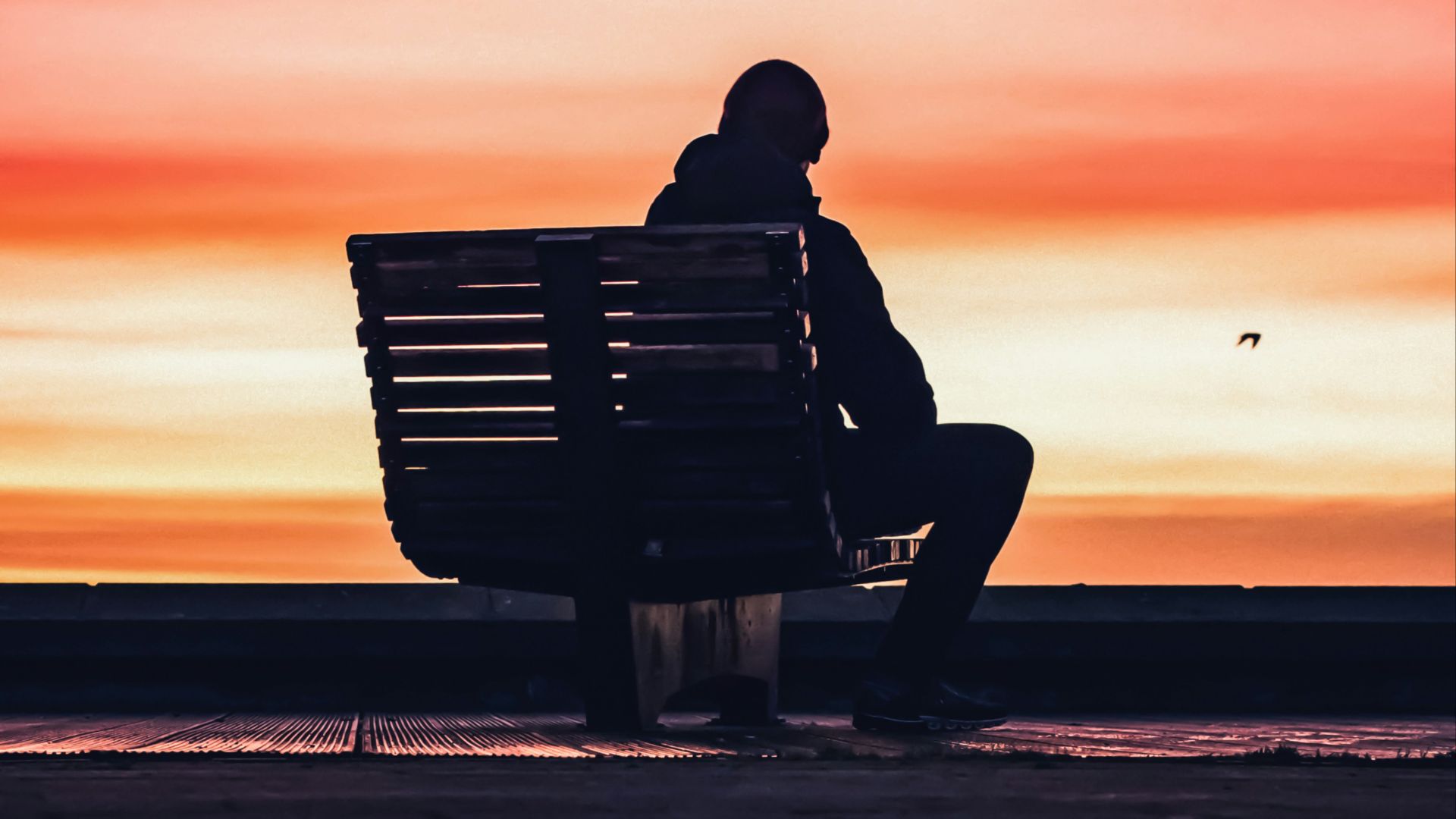 silhouette of man sitting on bench near beach during sunset