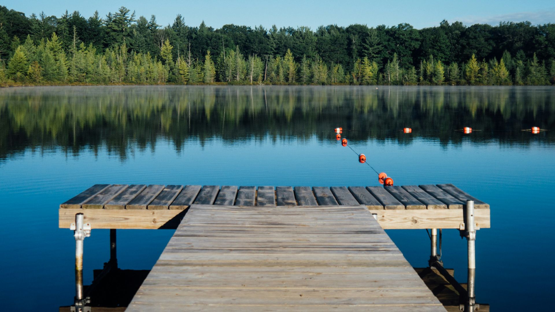 brown wooden dock near calm body of water surrounded by trees