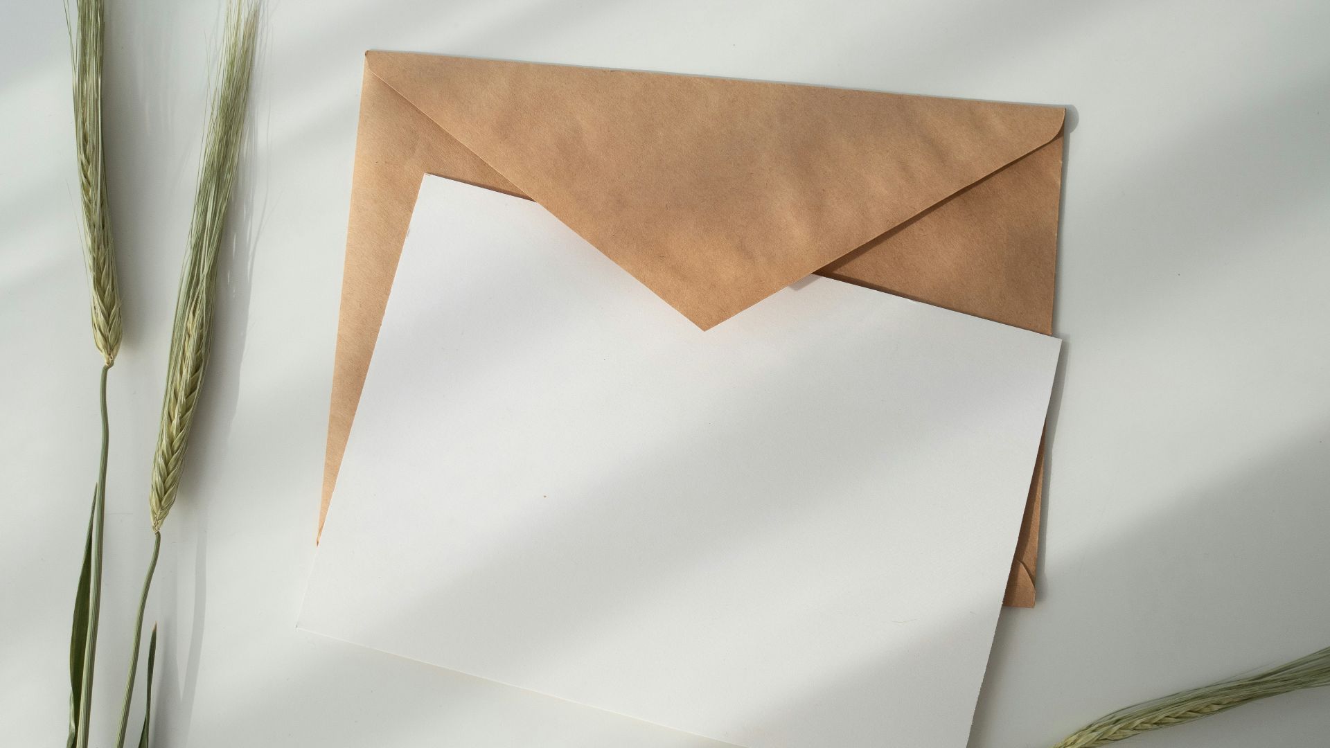 white paper and brown envelope