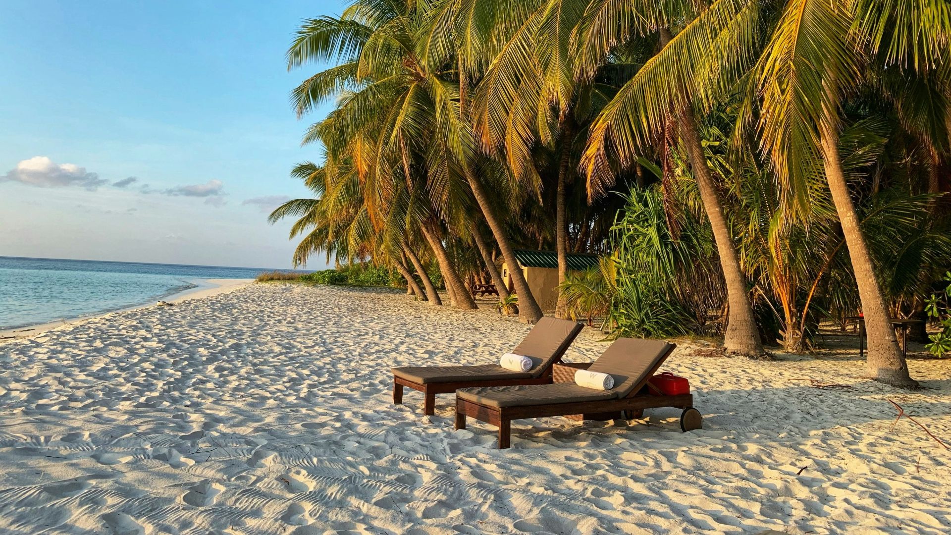 brown wooden bench on beach during daytime