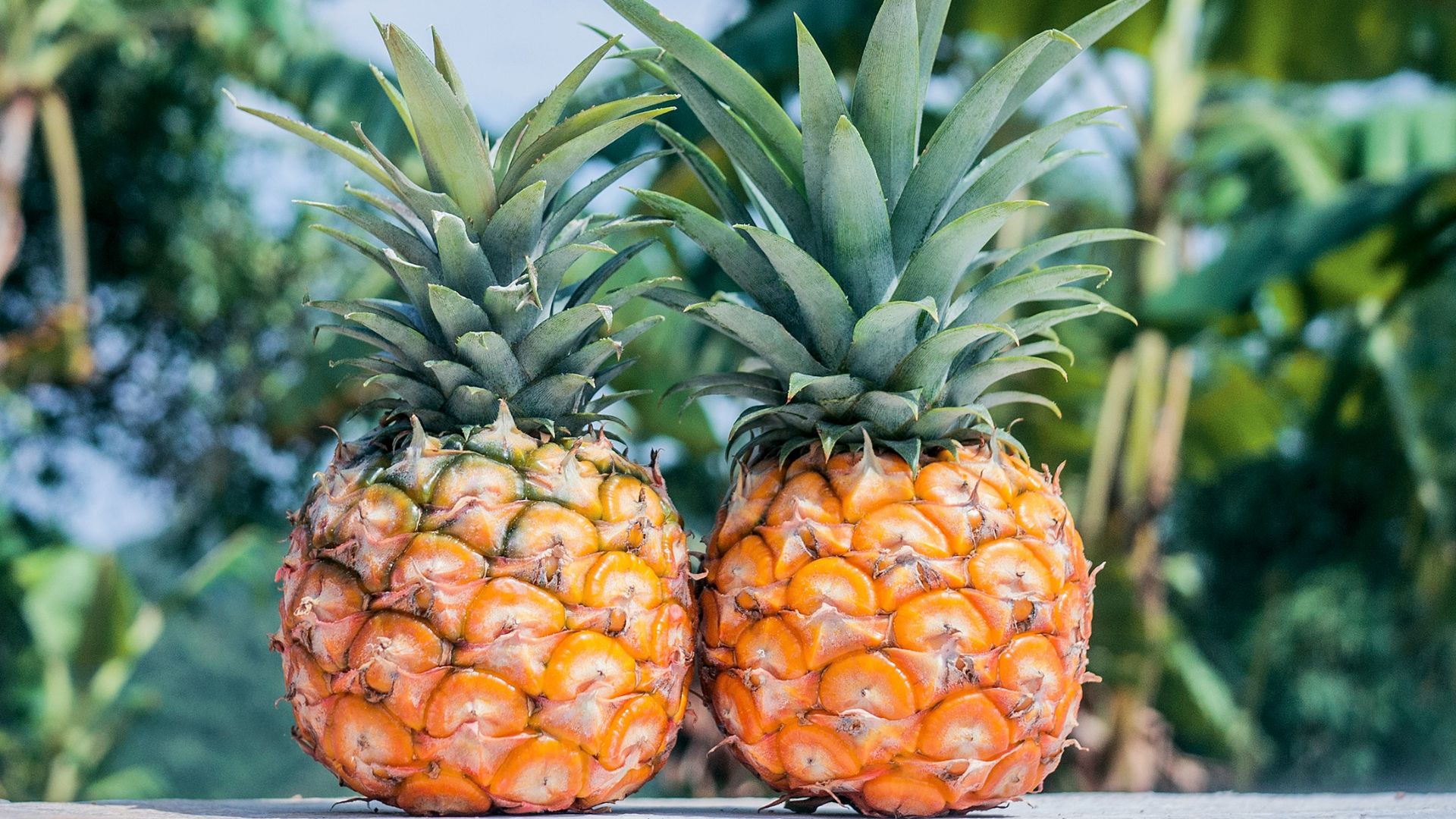 two pineapple fruits on gray surface