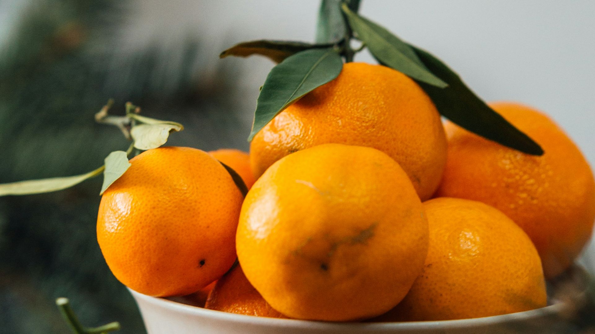 orange fruits in white ceramic bowl
