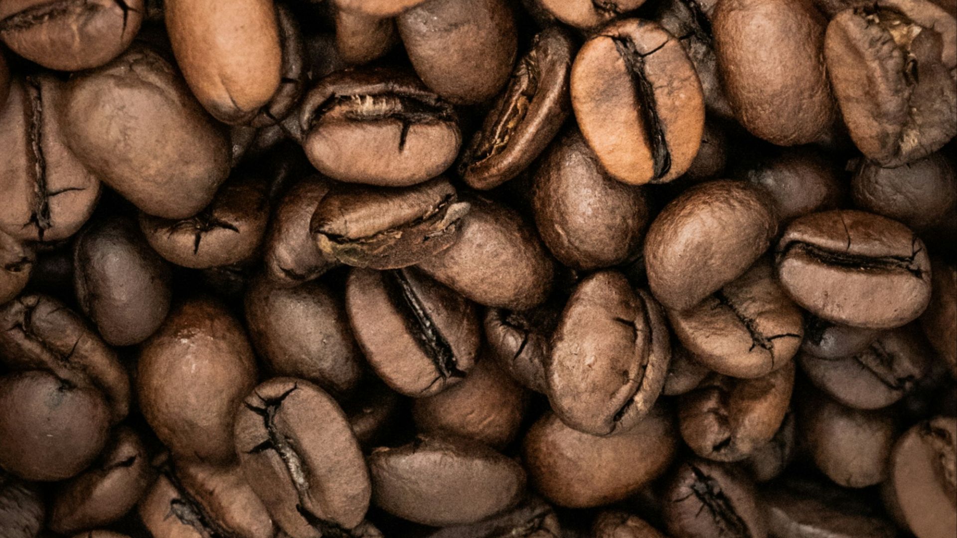 brown coffee beans in close up photography
