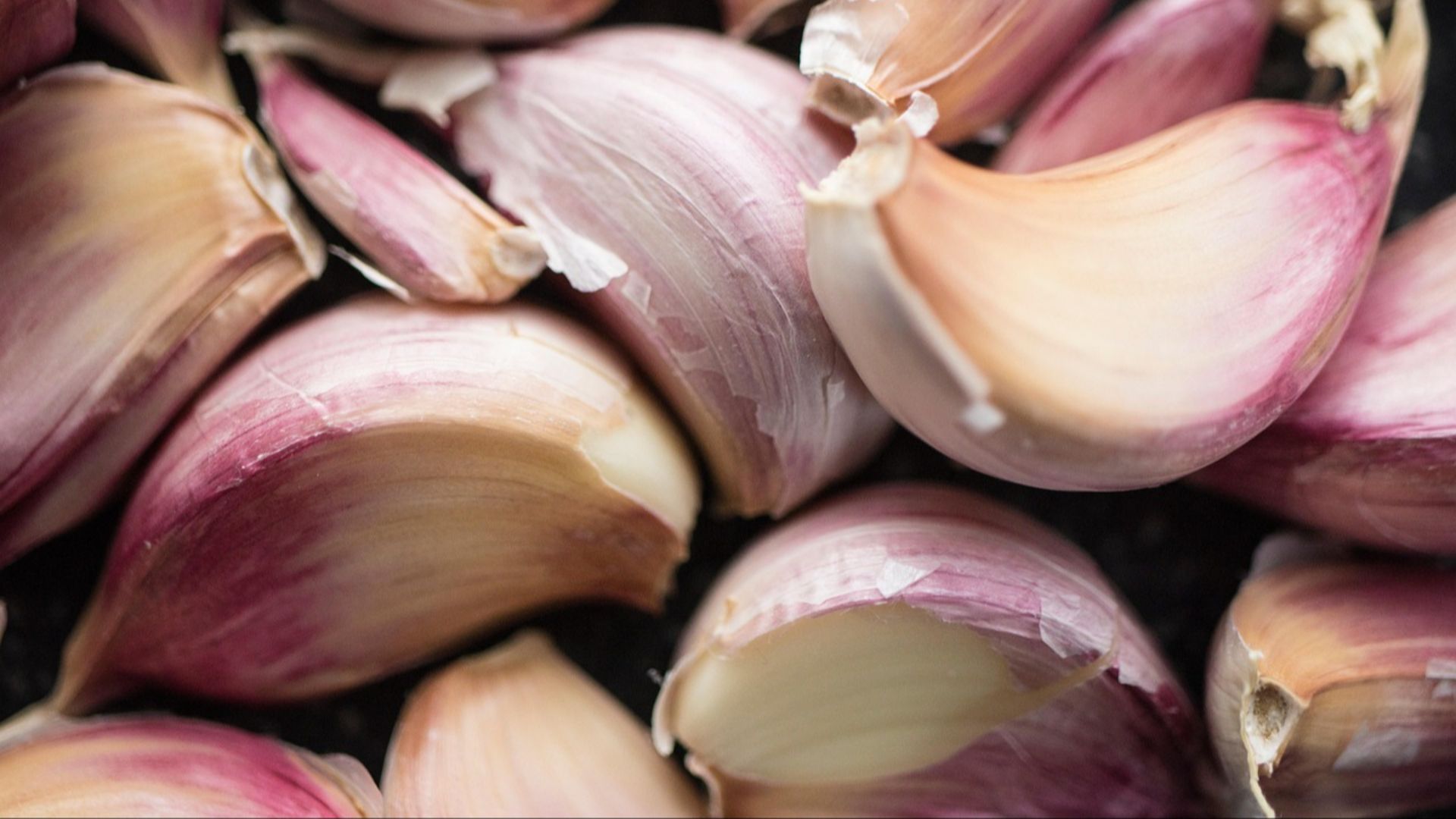 Curious_Collectibles